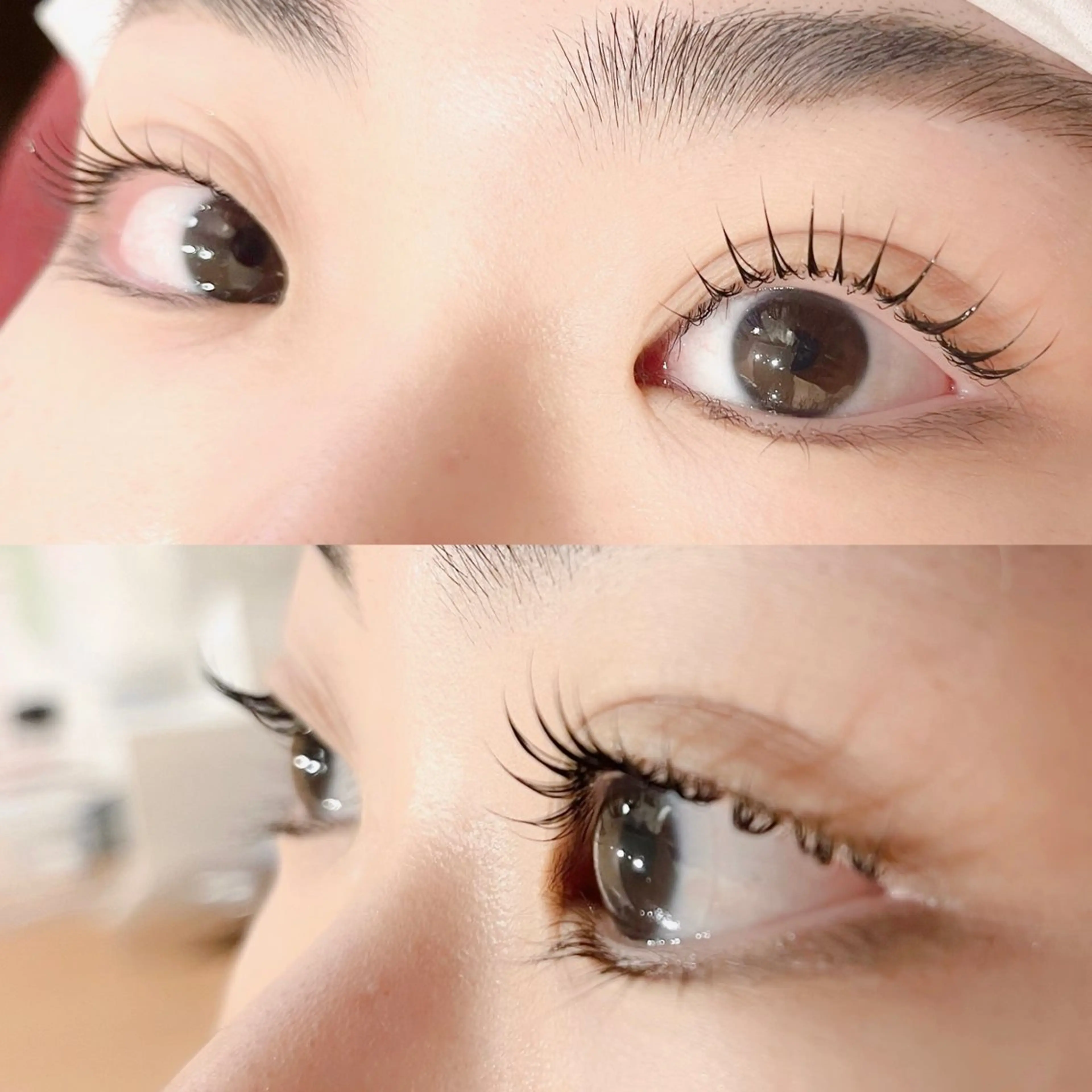 ✨1日3名様限定✨🤍次世代まつ毛パーマ/ラッシュリフト🤍美容液コーティングで韓国風束感仕上げ✨の写真