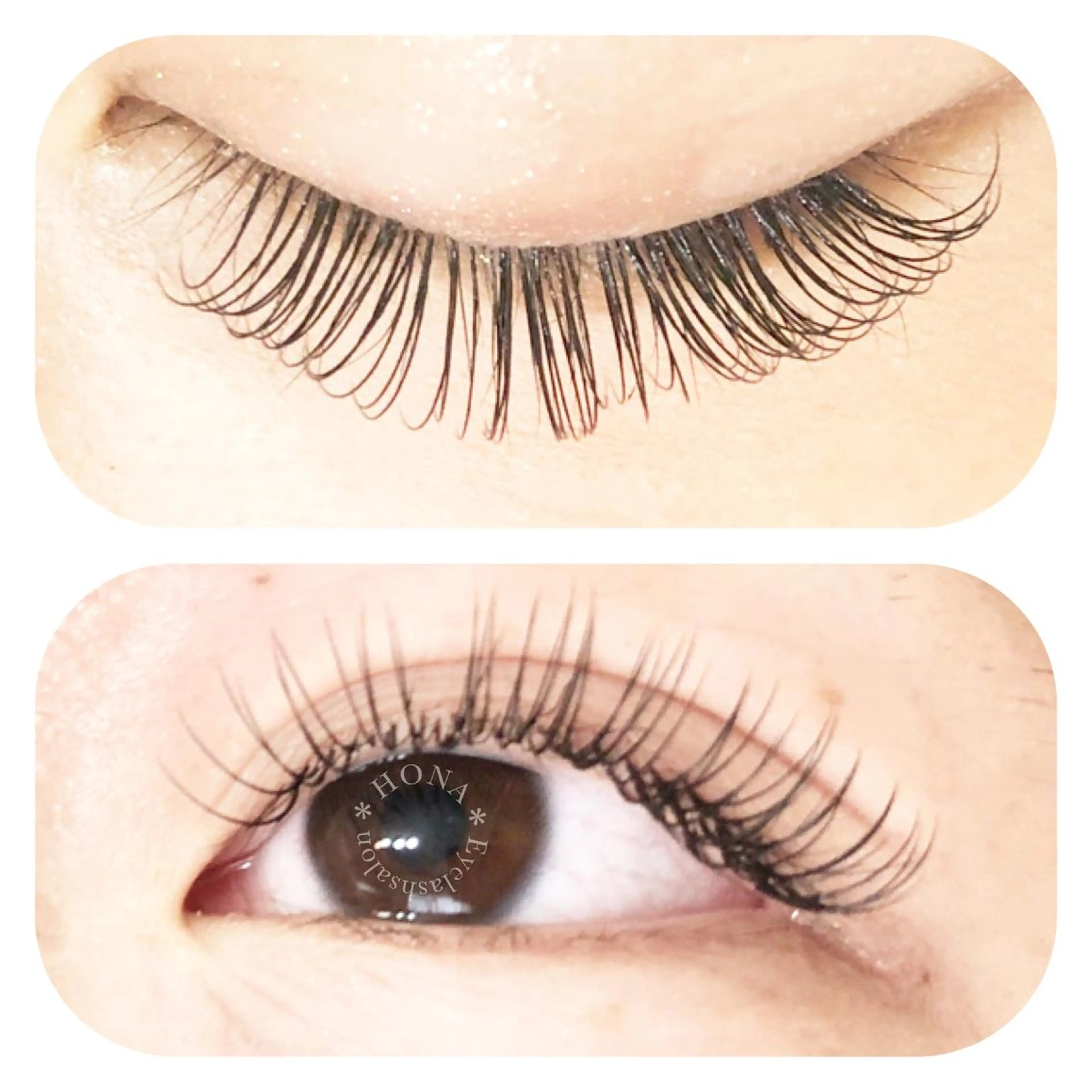 12/10まで限定　お試しシングル又はフラット120本の写真