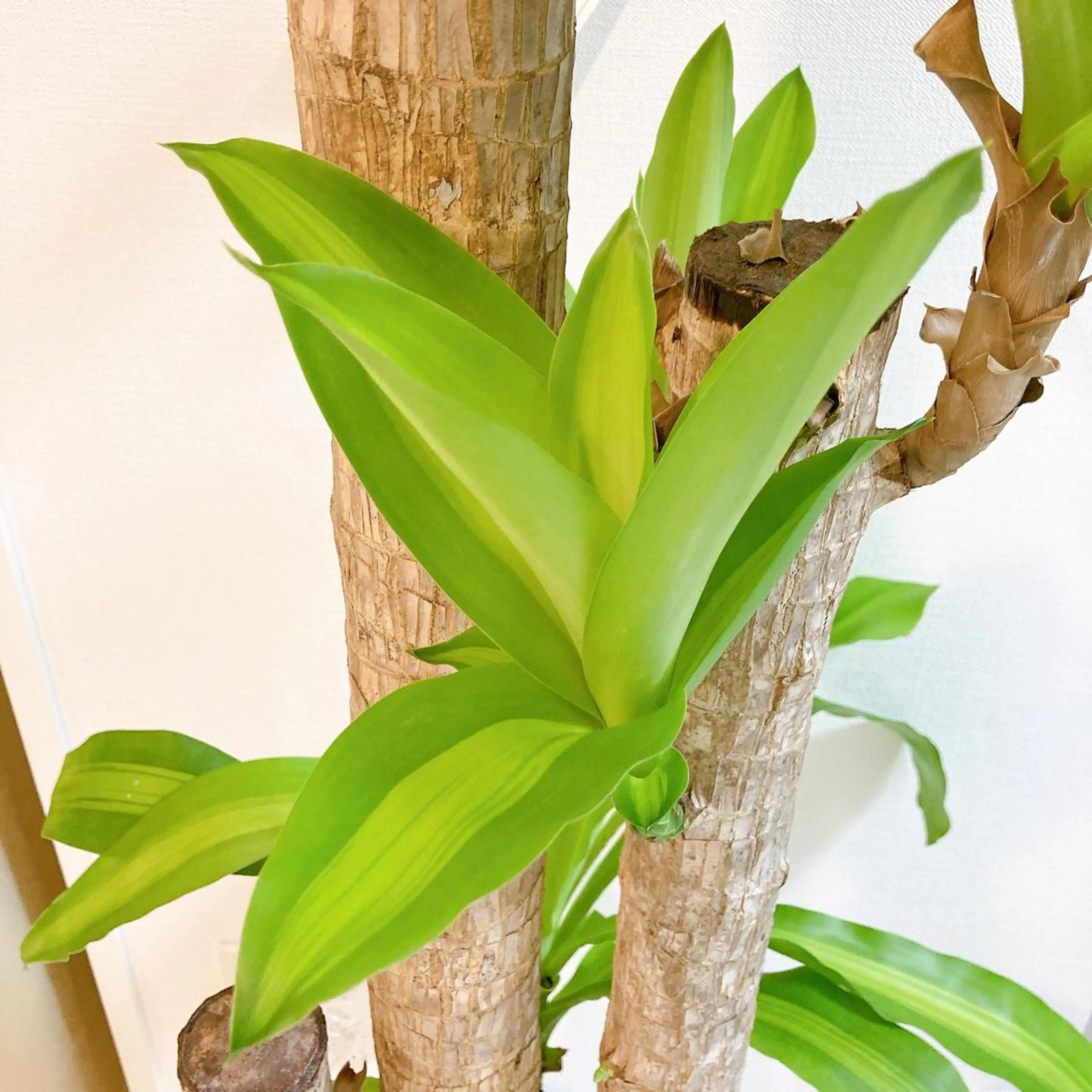 口コミ投稿用✍️の写真