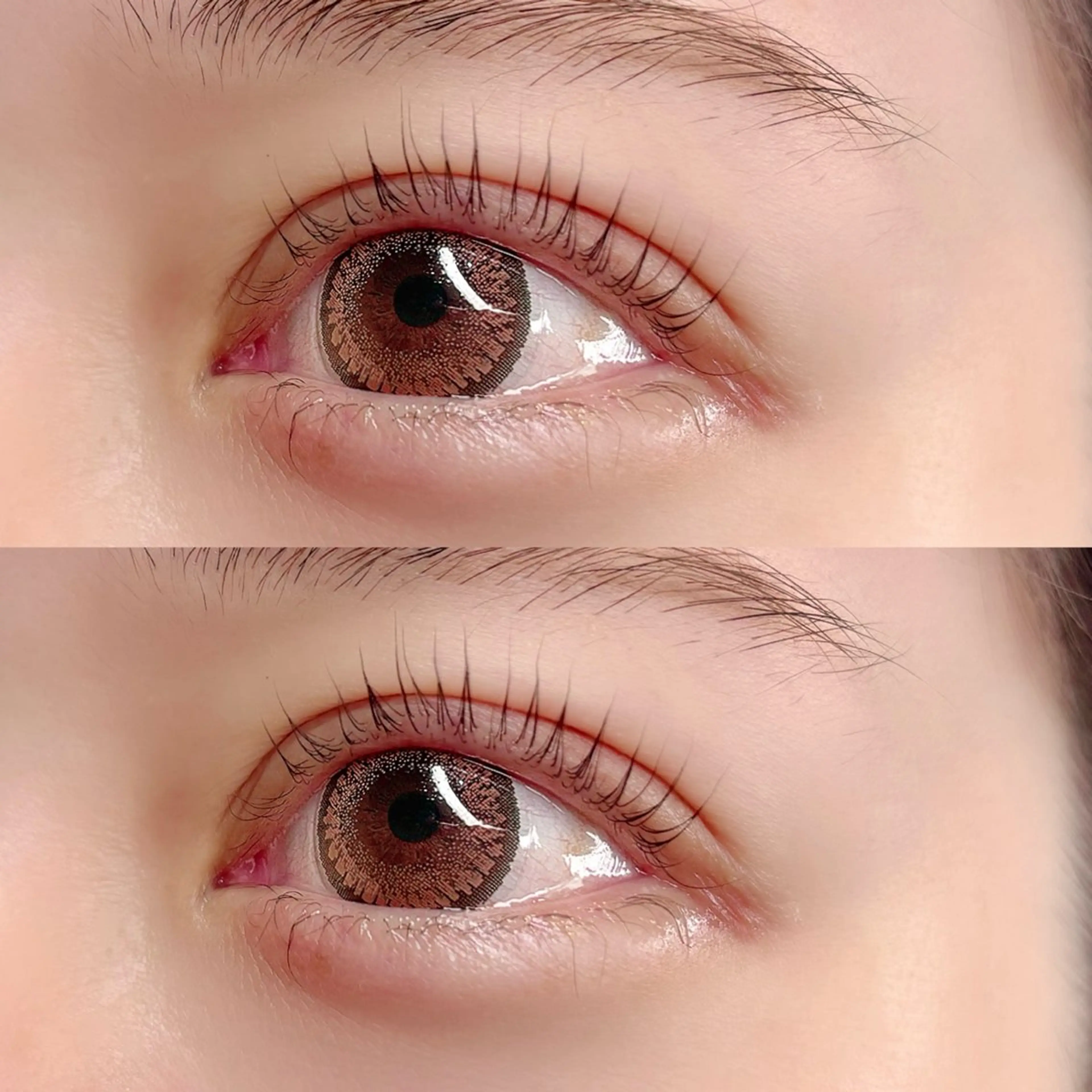 パリジェンヌラッシュリフト/次世代まつげパーマ🌸パリジェンヌラッシュセラム仕上げ🎀の写真