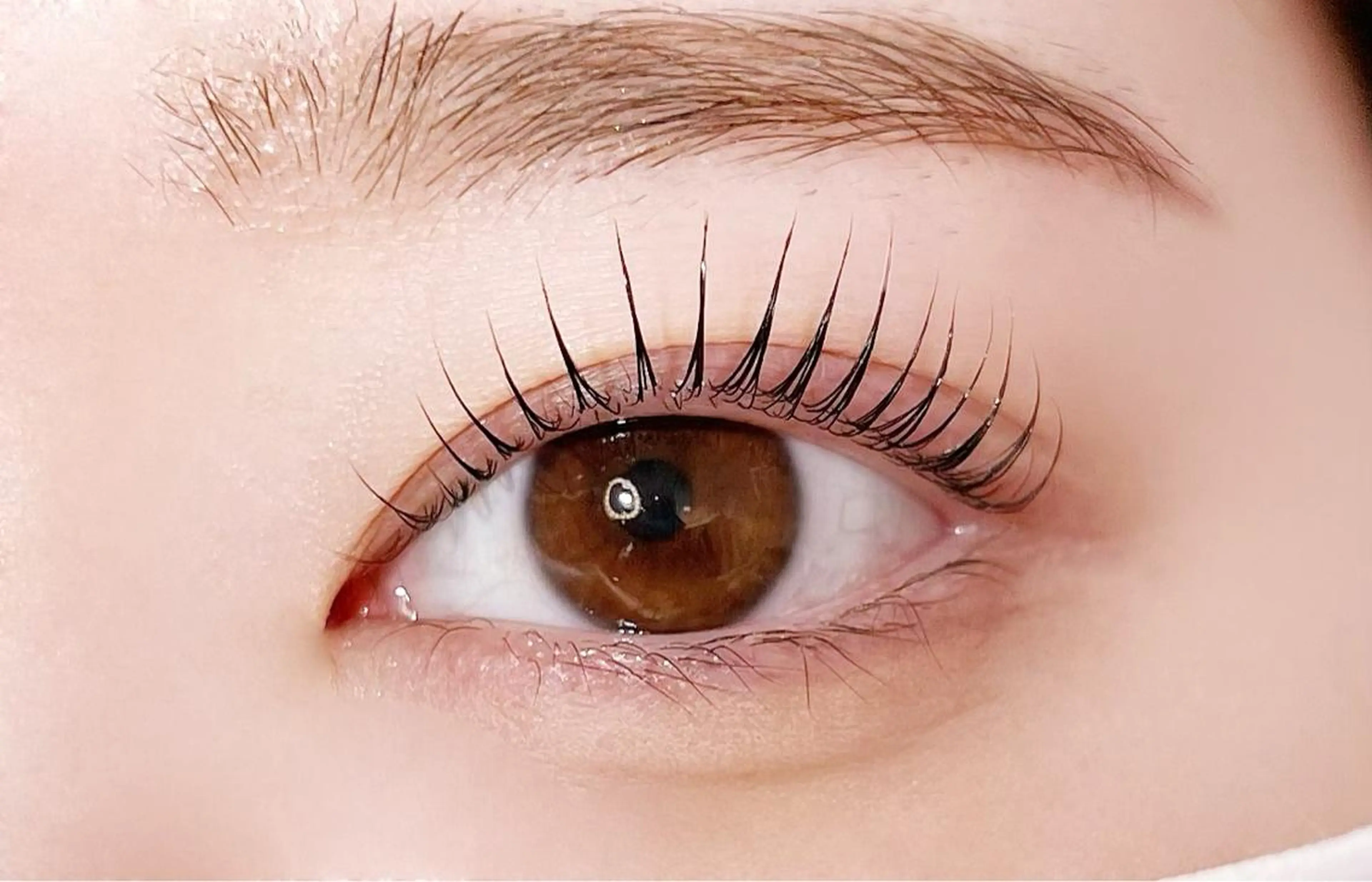 【コーティング付𓍯】パリジェンヌラッシュリフトの写真