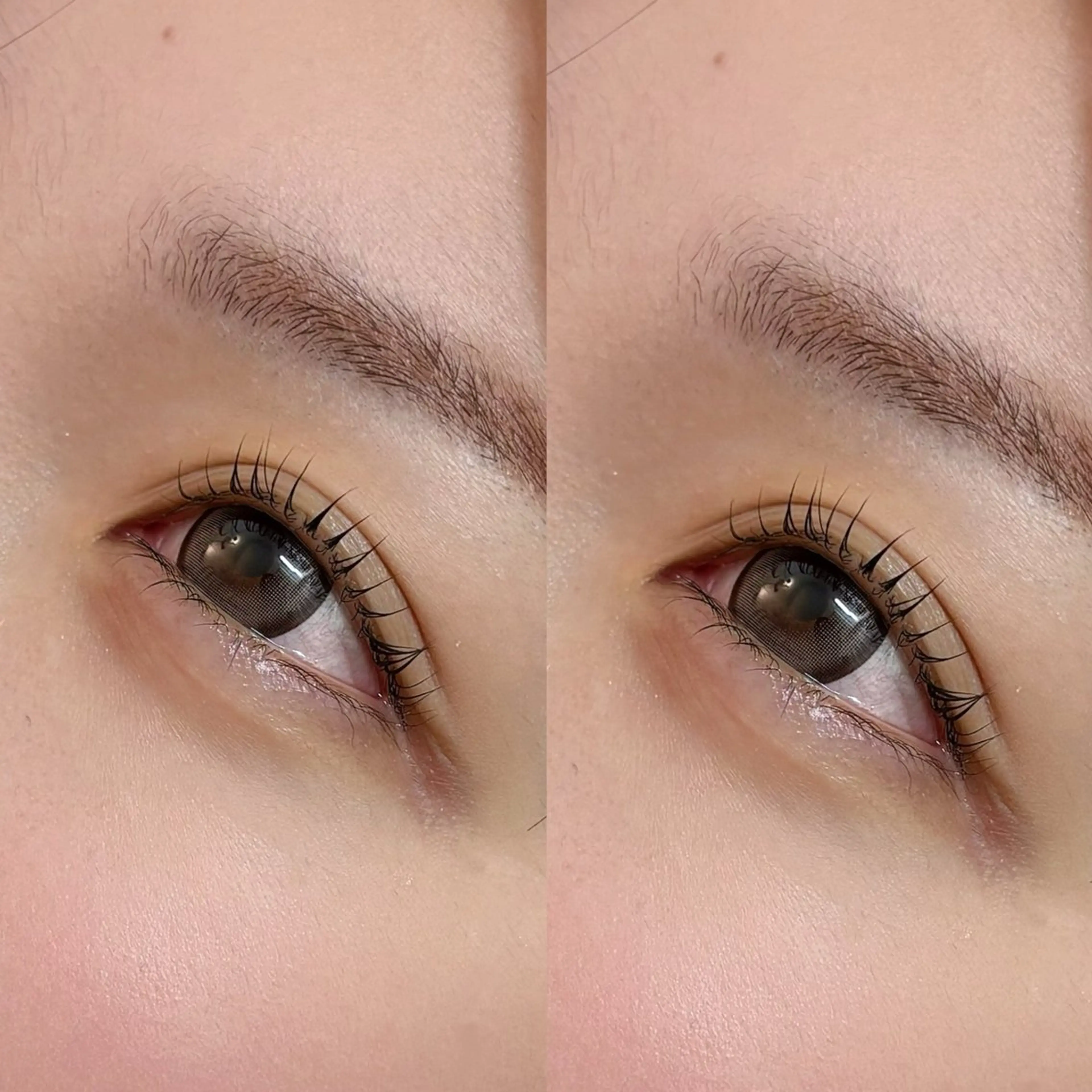 マツエク・マツパ FOXYLASH難波 inoueのマツエク・マツパデザイン