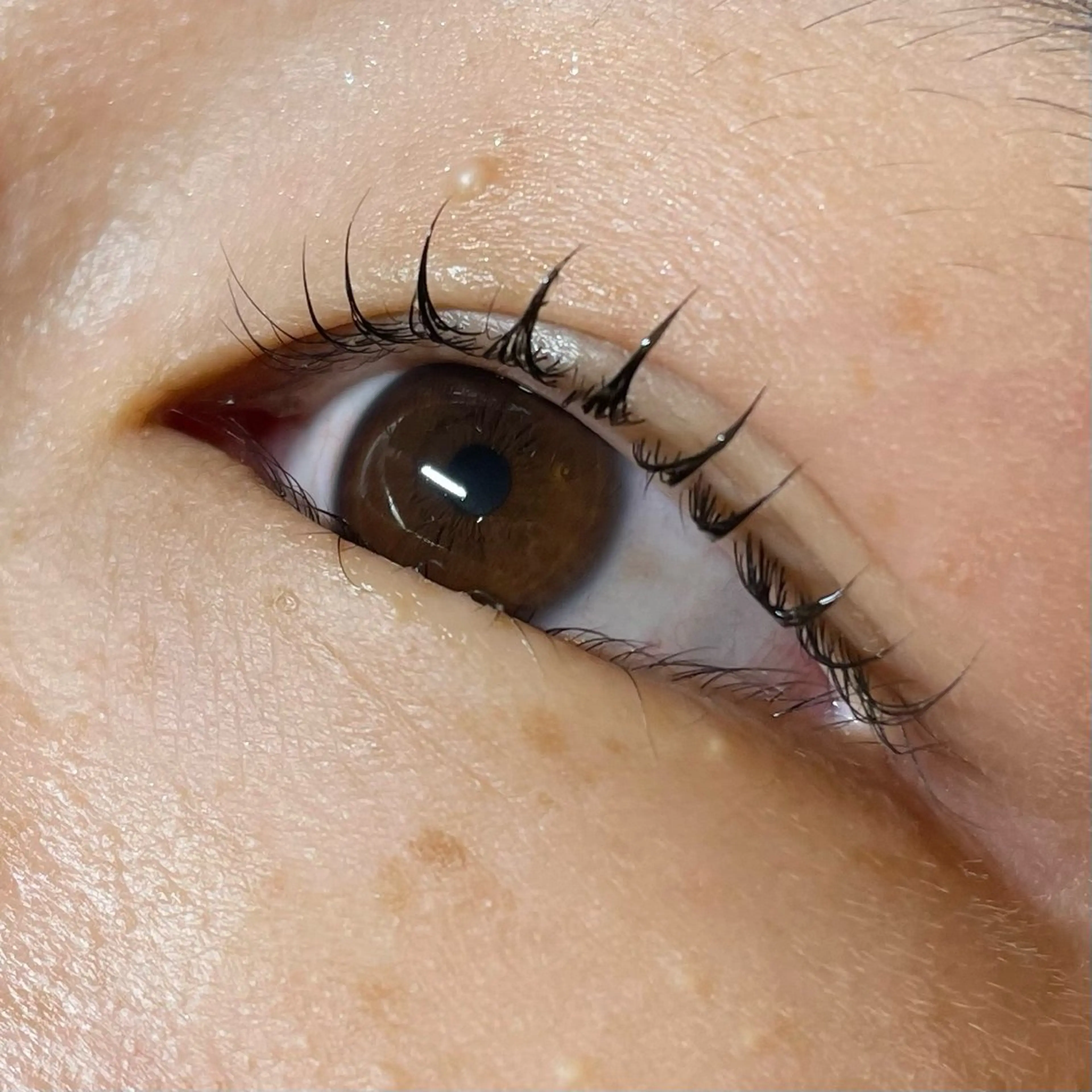 マツエク・マツパ designK上野 瑠衣のマツエク・マツパデザイン