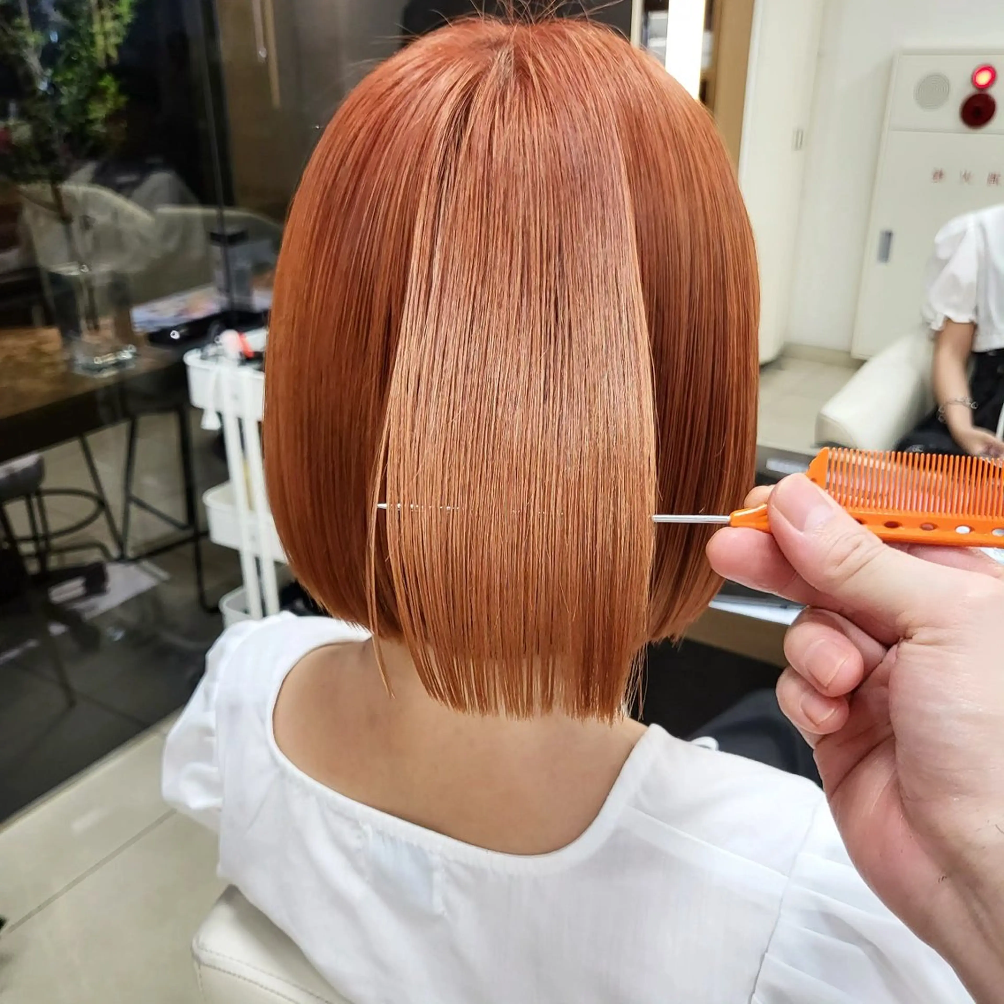 カラー ハイトーン/エクステ /🎀YUINA🎀のヘアスタイル