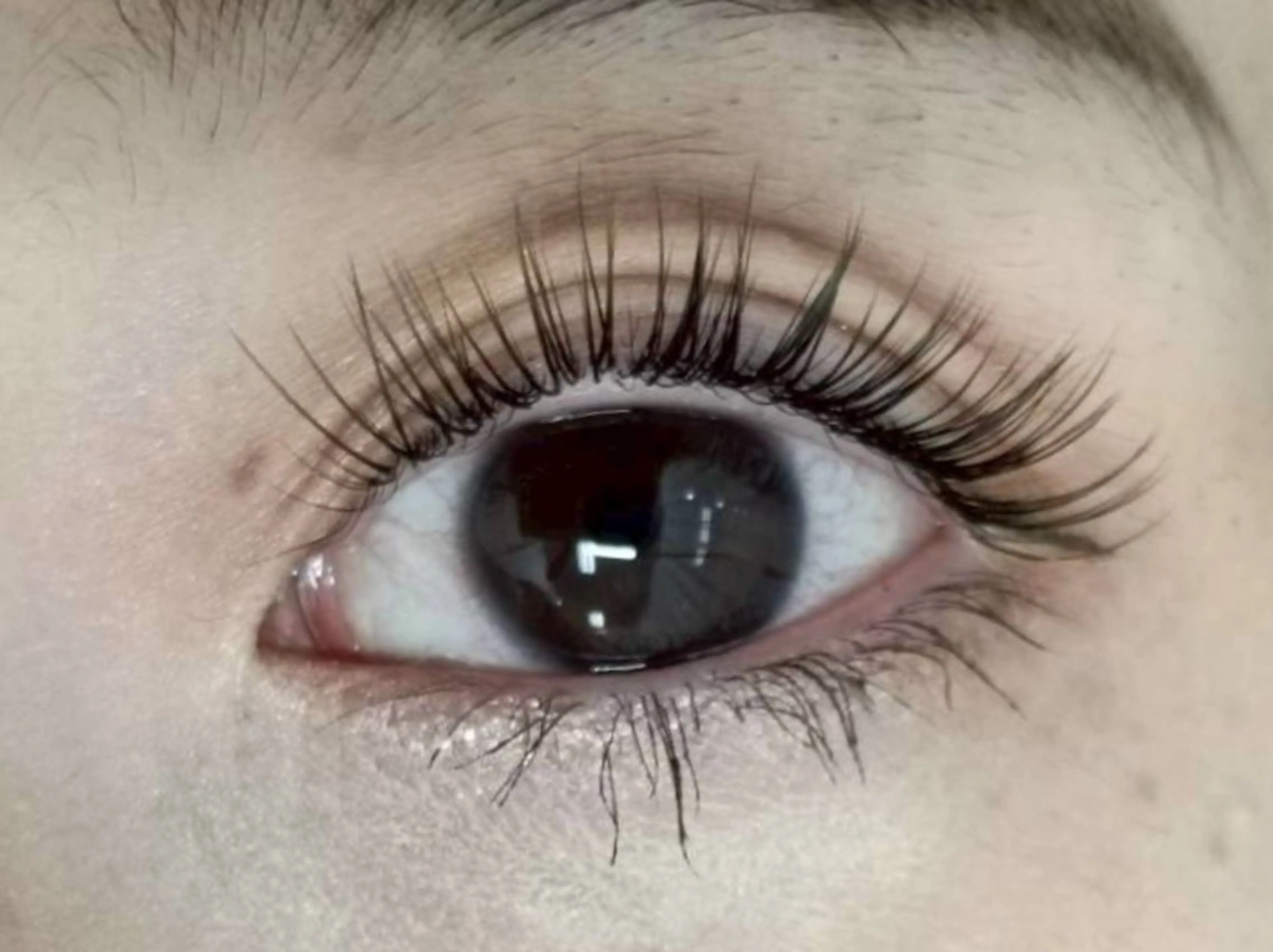 マツエク・マツパ 🫧🐰渋谷. INOUE🐰🫧の眉毛・アイブロウイメージ