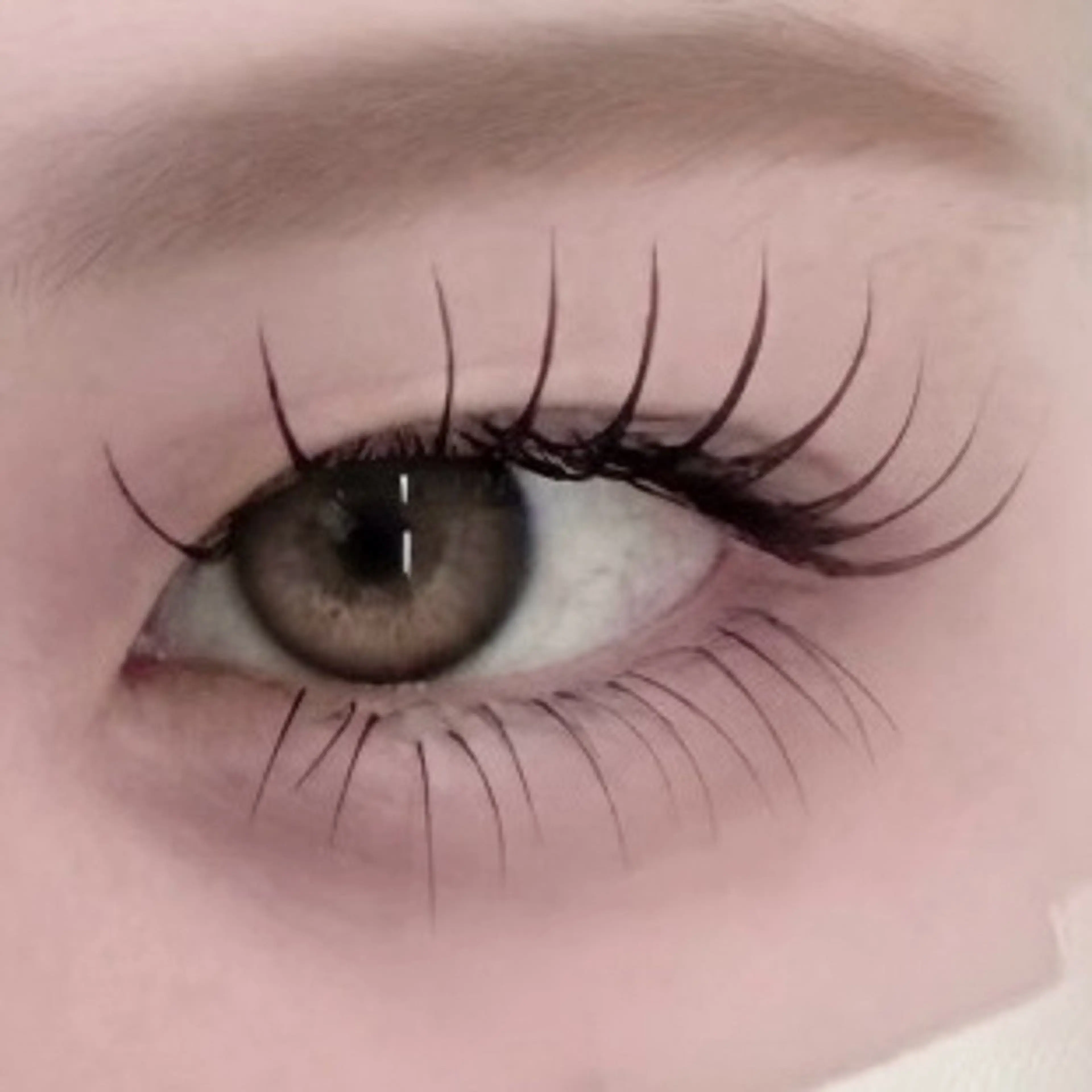 【限定価格】上下フラットラッシュ120・30本✨🎀〈オフ込・コーティング付〉の写真