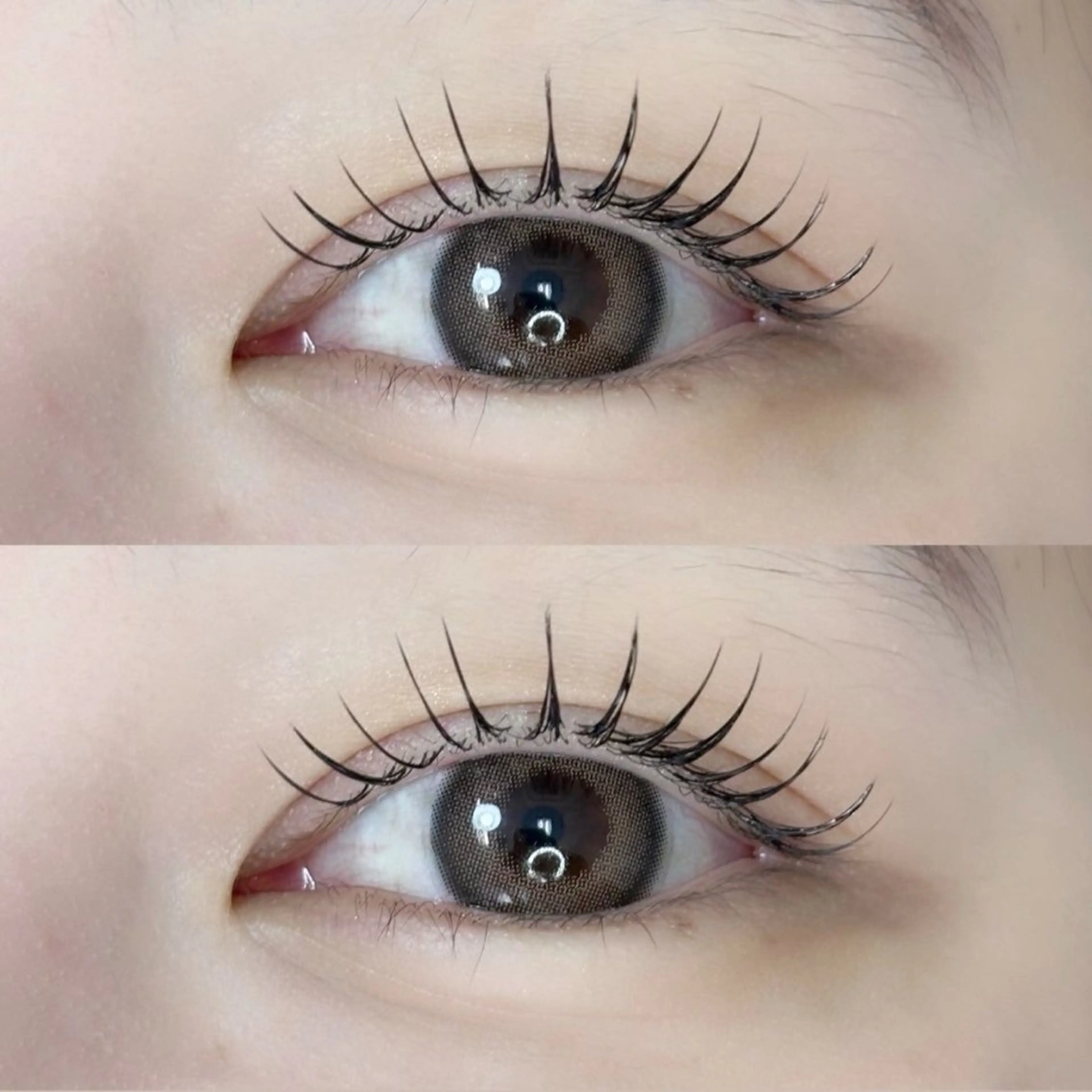 【練習モデル】シングルラッシュ　100本　コーティング付き✨の写真