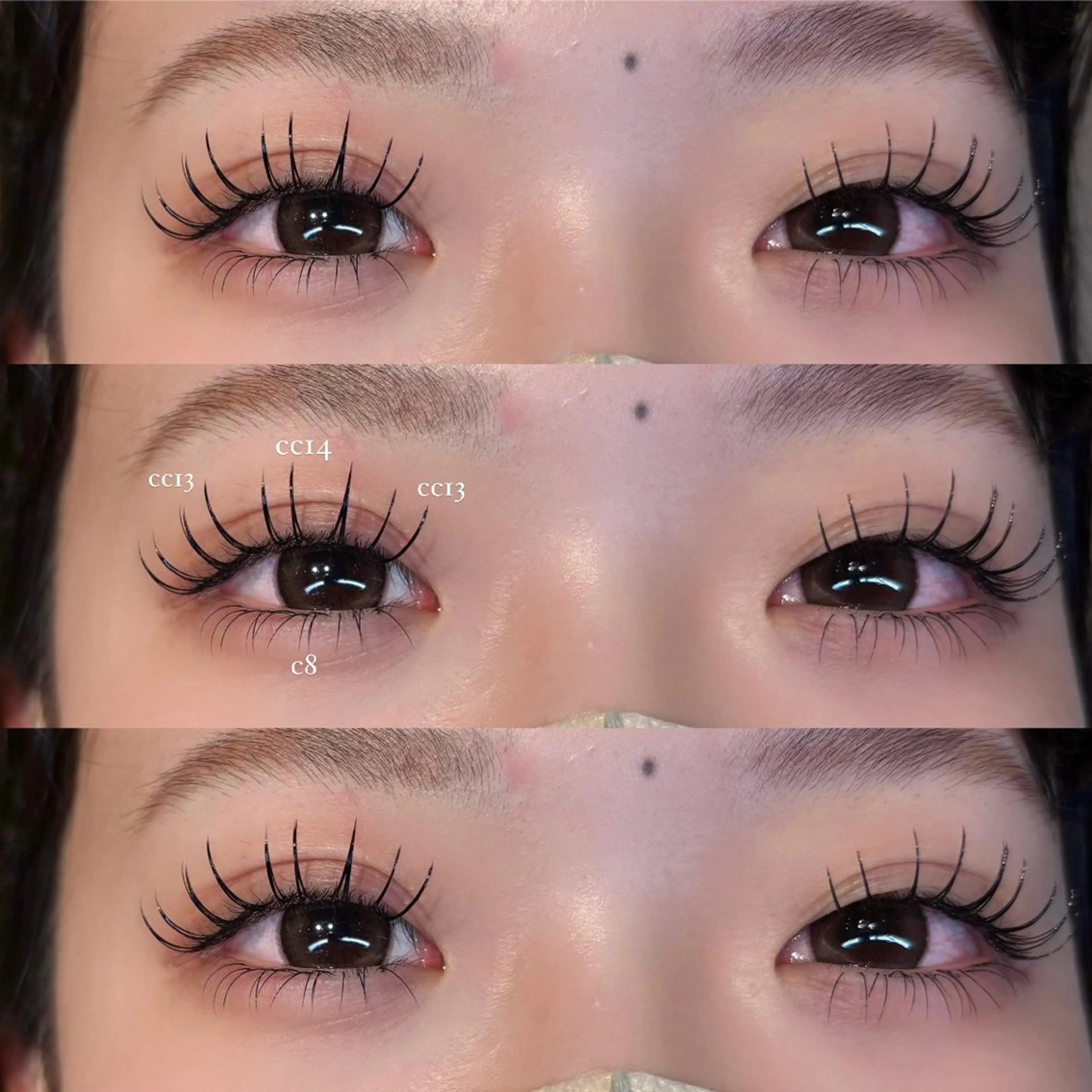 🎄限定クーポン🎄バインドロック60束の写真