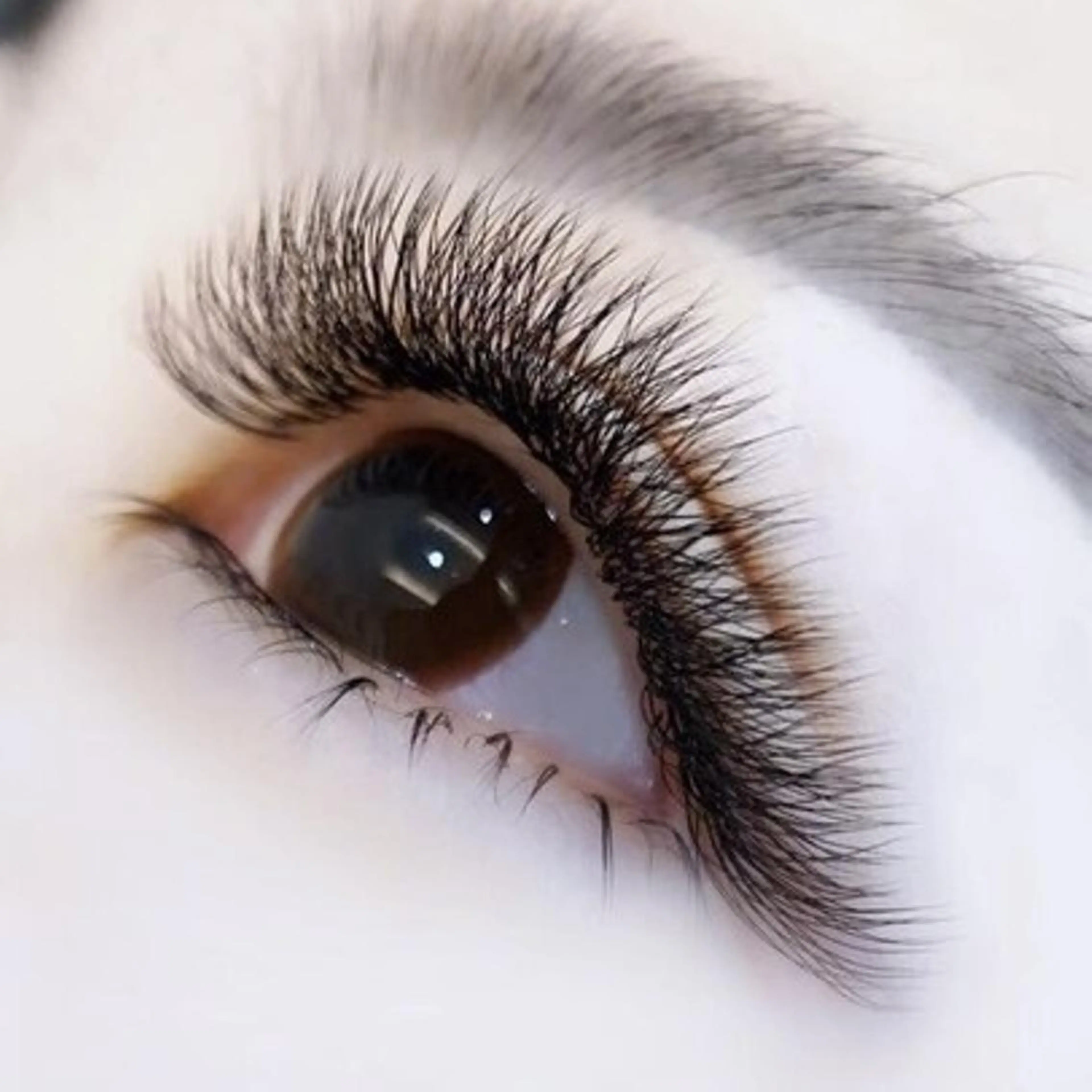 マツエク・マツパ マツエク Enchante 京都河原町のマツエク・マツパデザイン