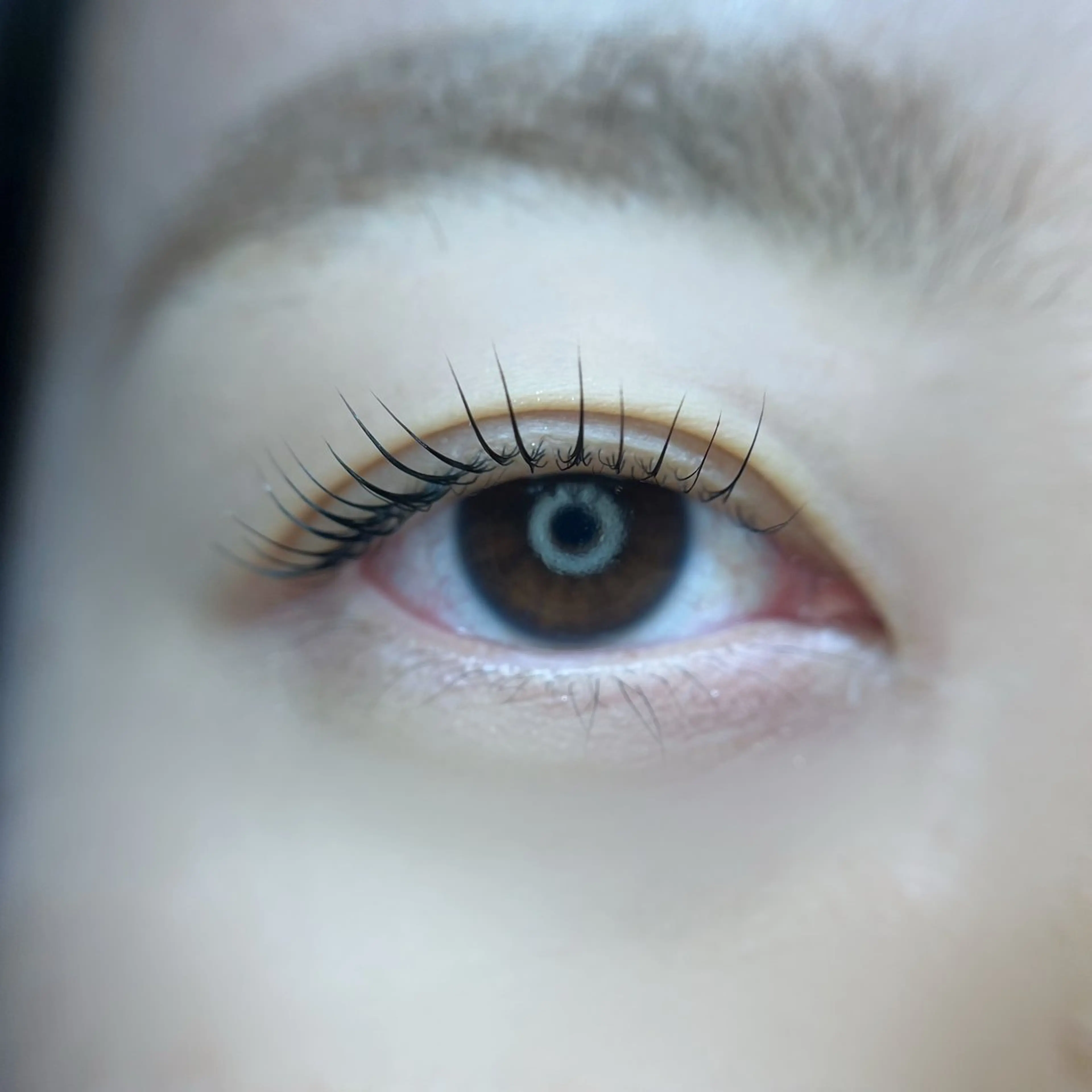 まるでアニメのヒロインのような目元✨【メーテルカール】✨大人っぽい魅力的な毛流れ😍嬉しいトリートメントケア付☺️の写真