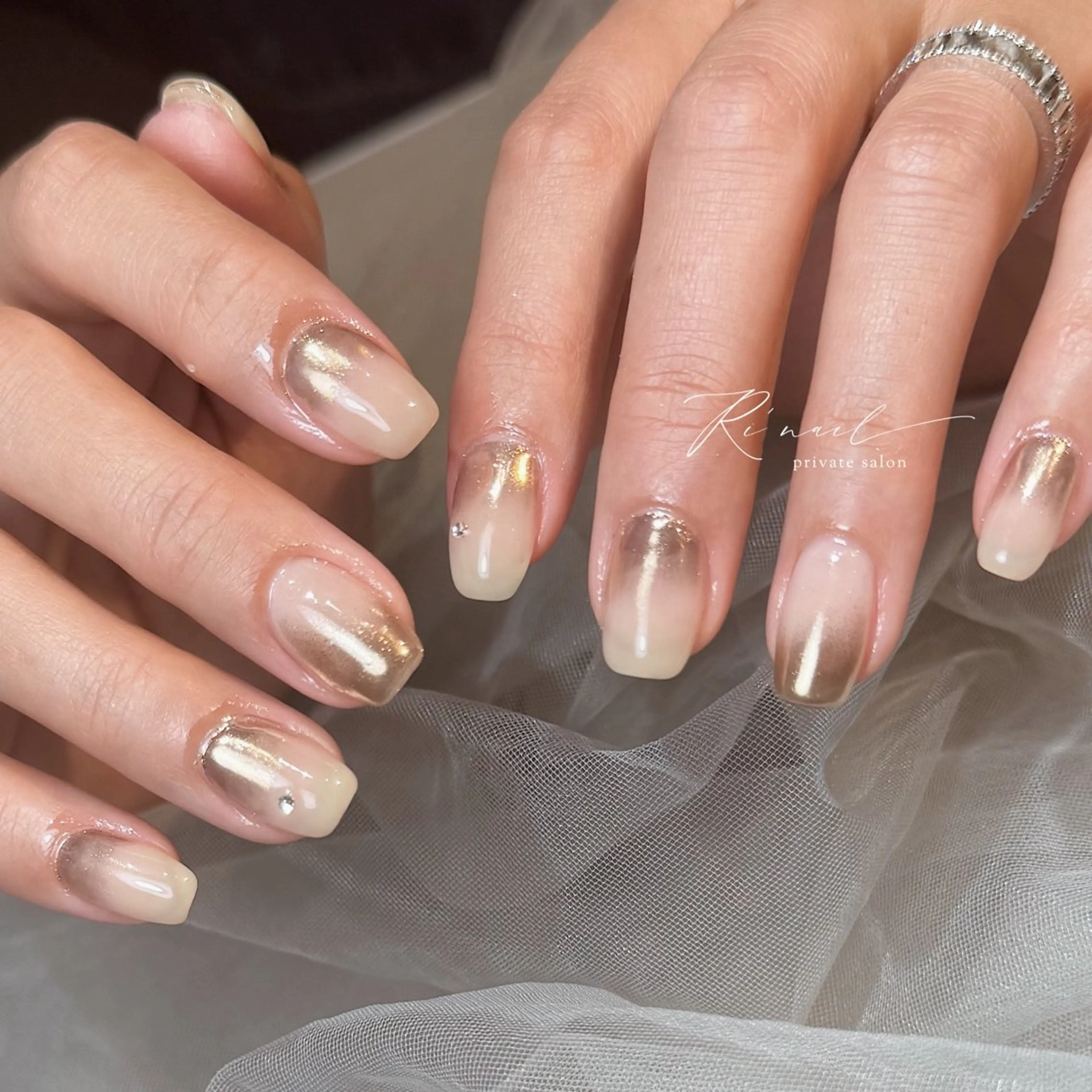 グラデーションの写真