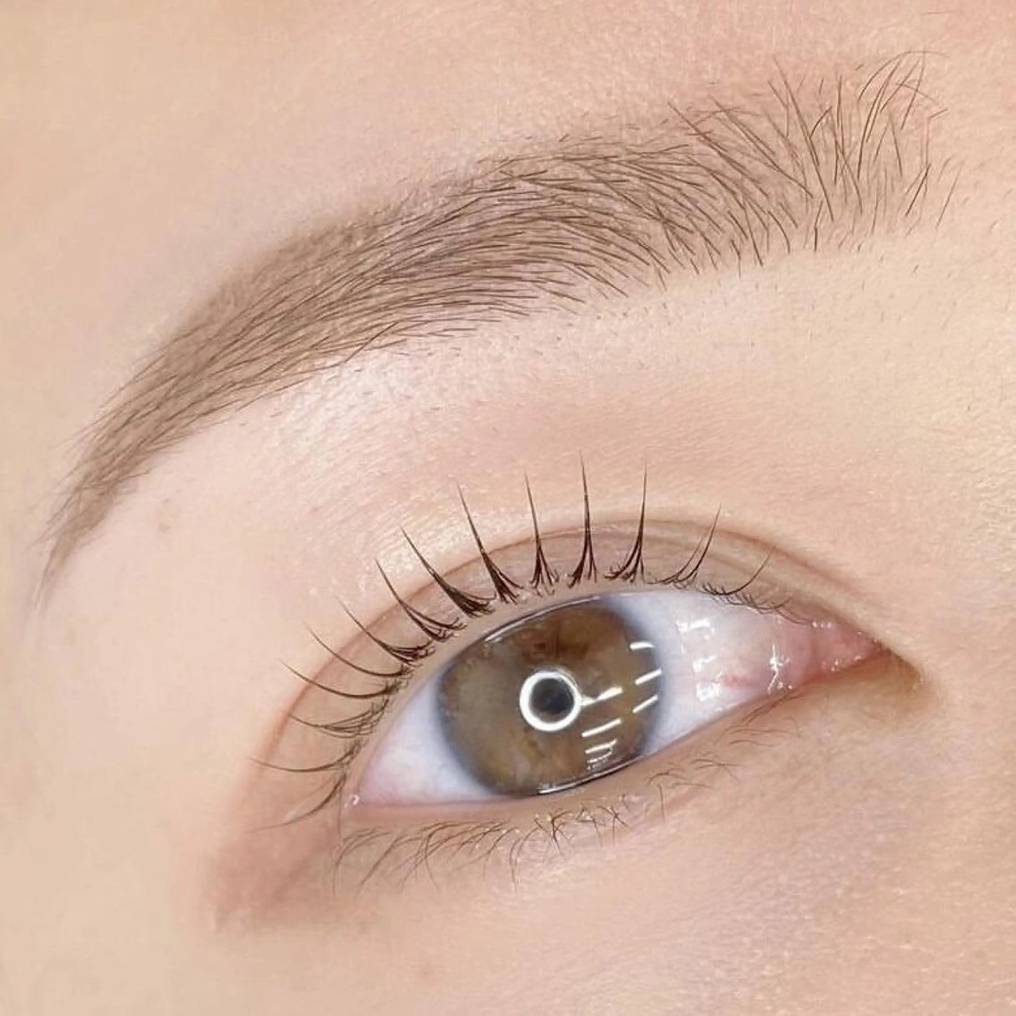 ご新規限定《黄金比(骨格診断)×似合わせ》WAX美眉スタイリング　¥4580の写真