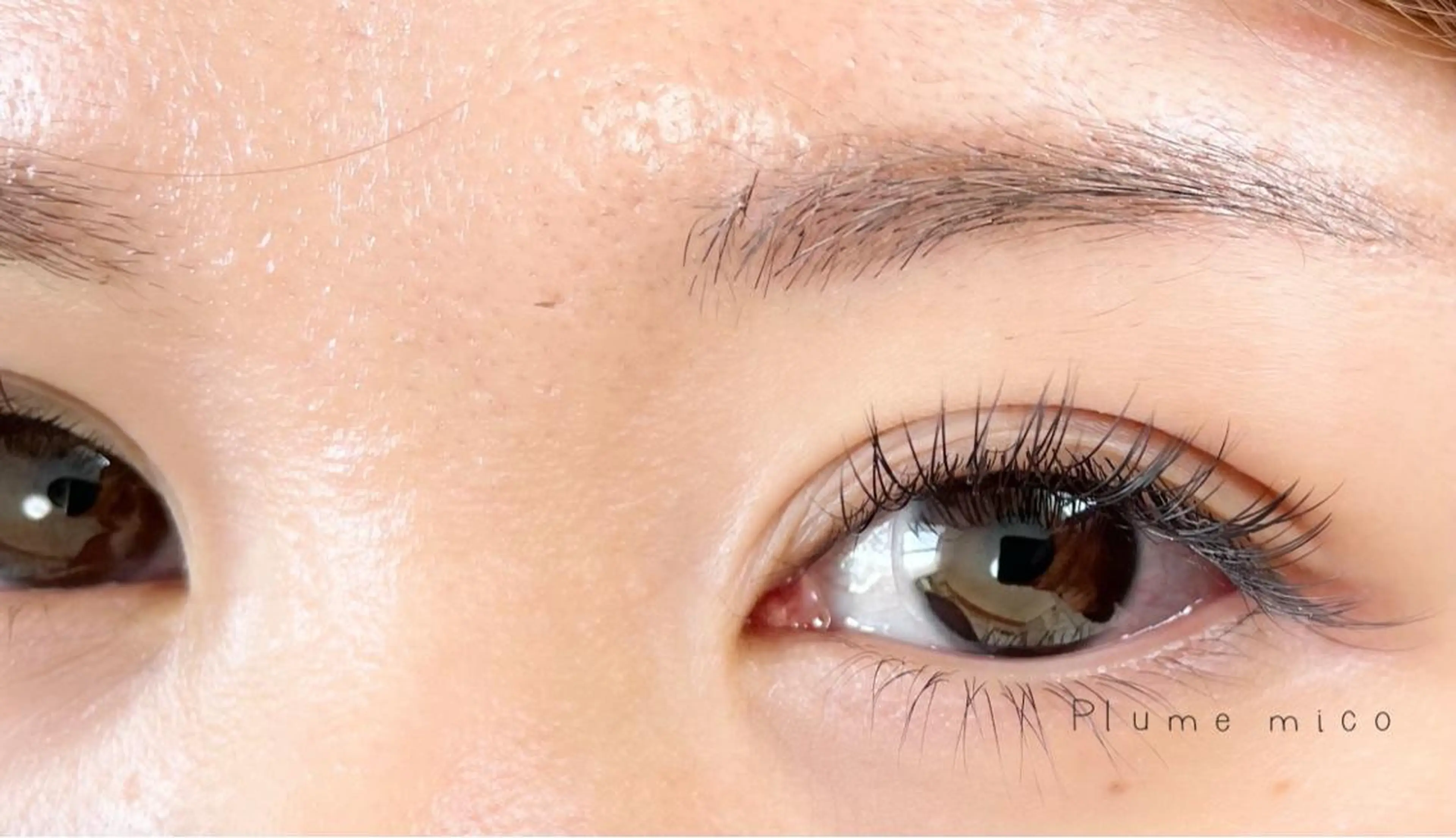 マツエク・マツパ マツエク Plume micoのマツエク・マツパデザイン