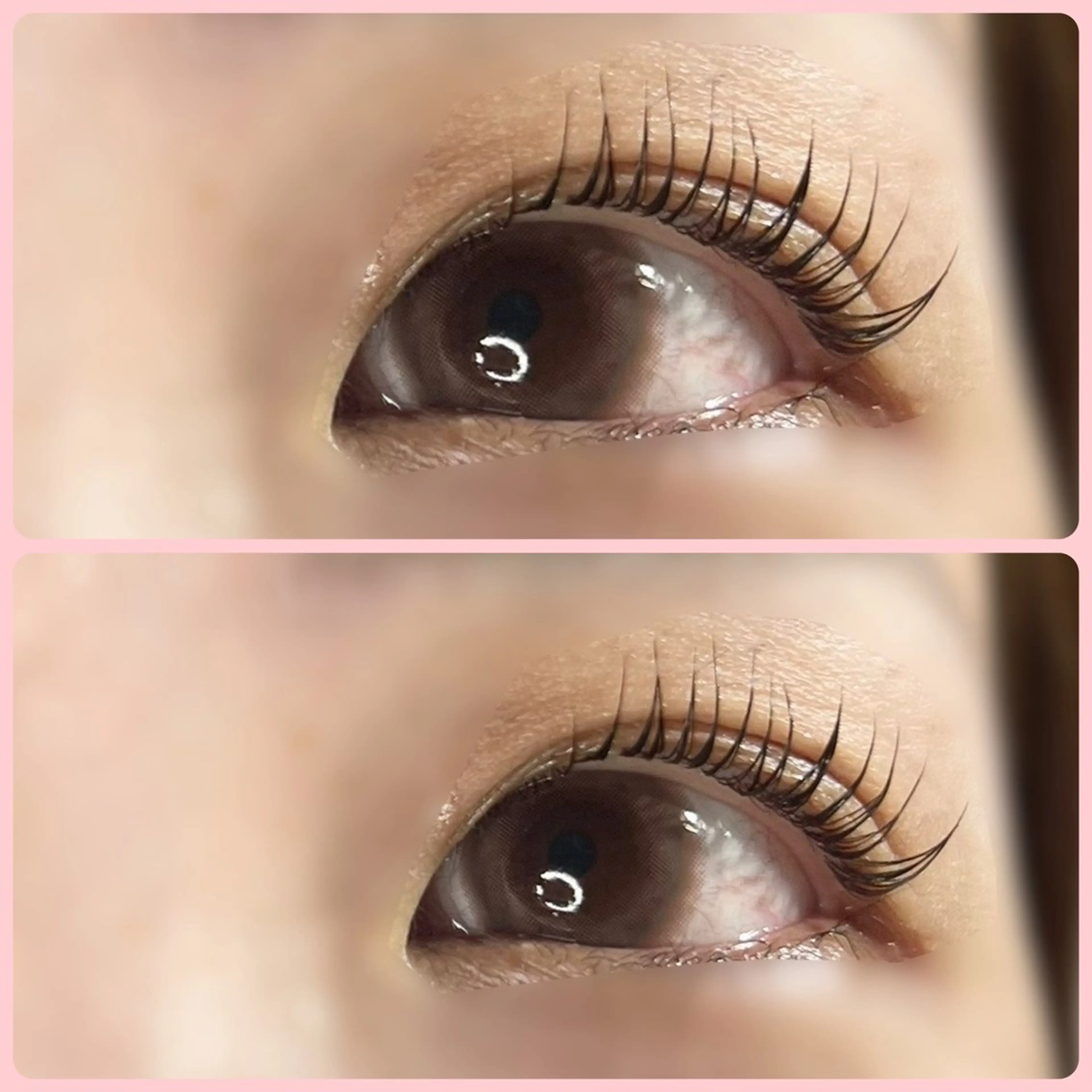 マツエク・マツパ マツパ rEINEまつ毛パーマ（カール）所属・与那原東浜rEINE まつ毛パーマのマツエク・マツパデザイン