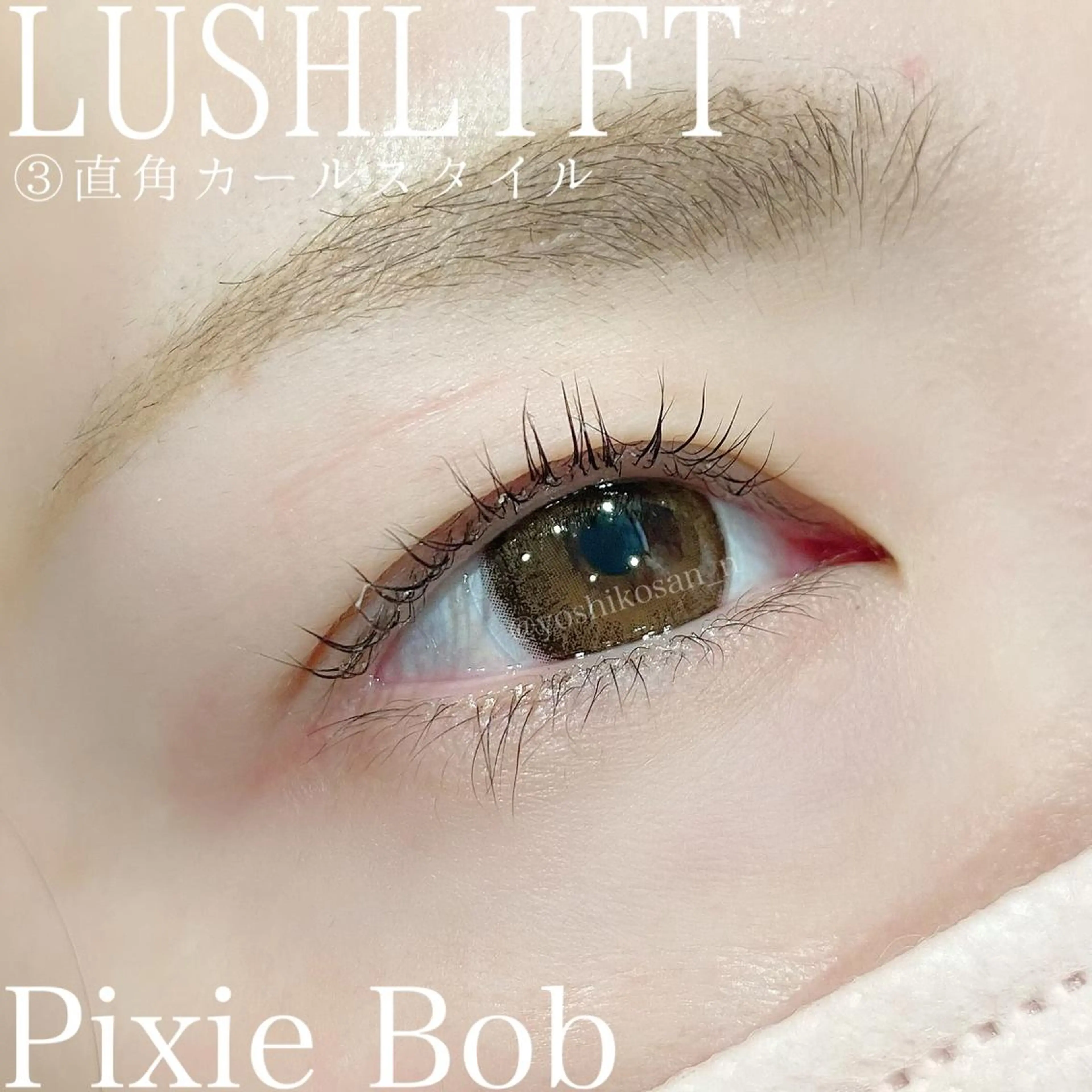 マツエク・マツパ カラーマツエク Pixie Bob 🐈‍⬛　位田のマツエク・マツパデザイン