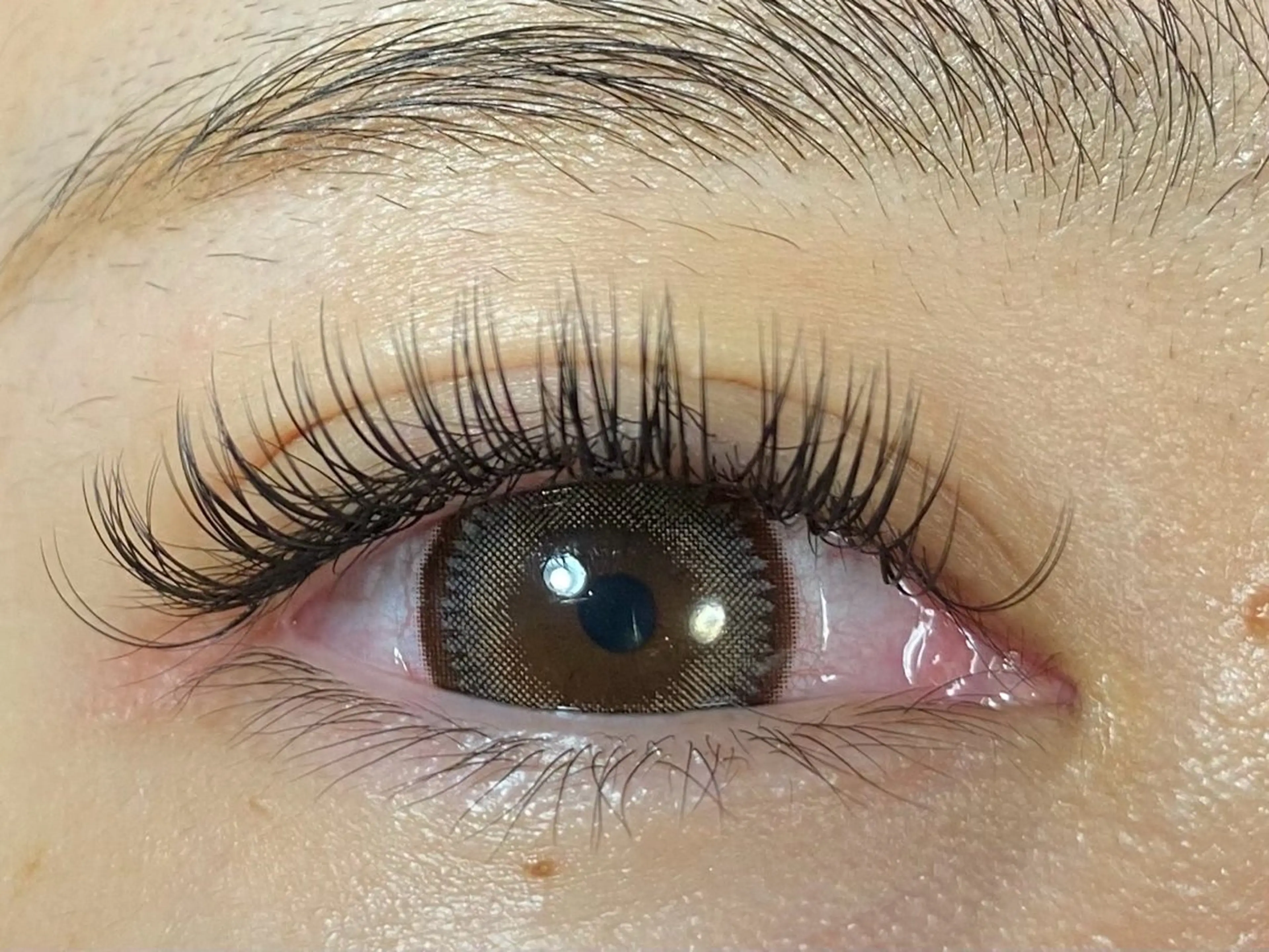 【オフ込み】2Dエクステ140本お仕上がり🌵70束.¥8350お支払いは現金のみの写真