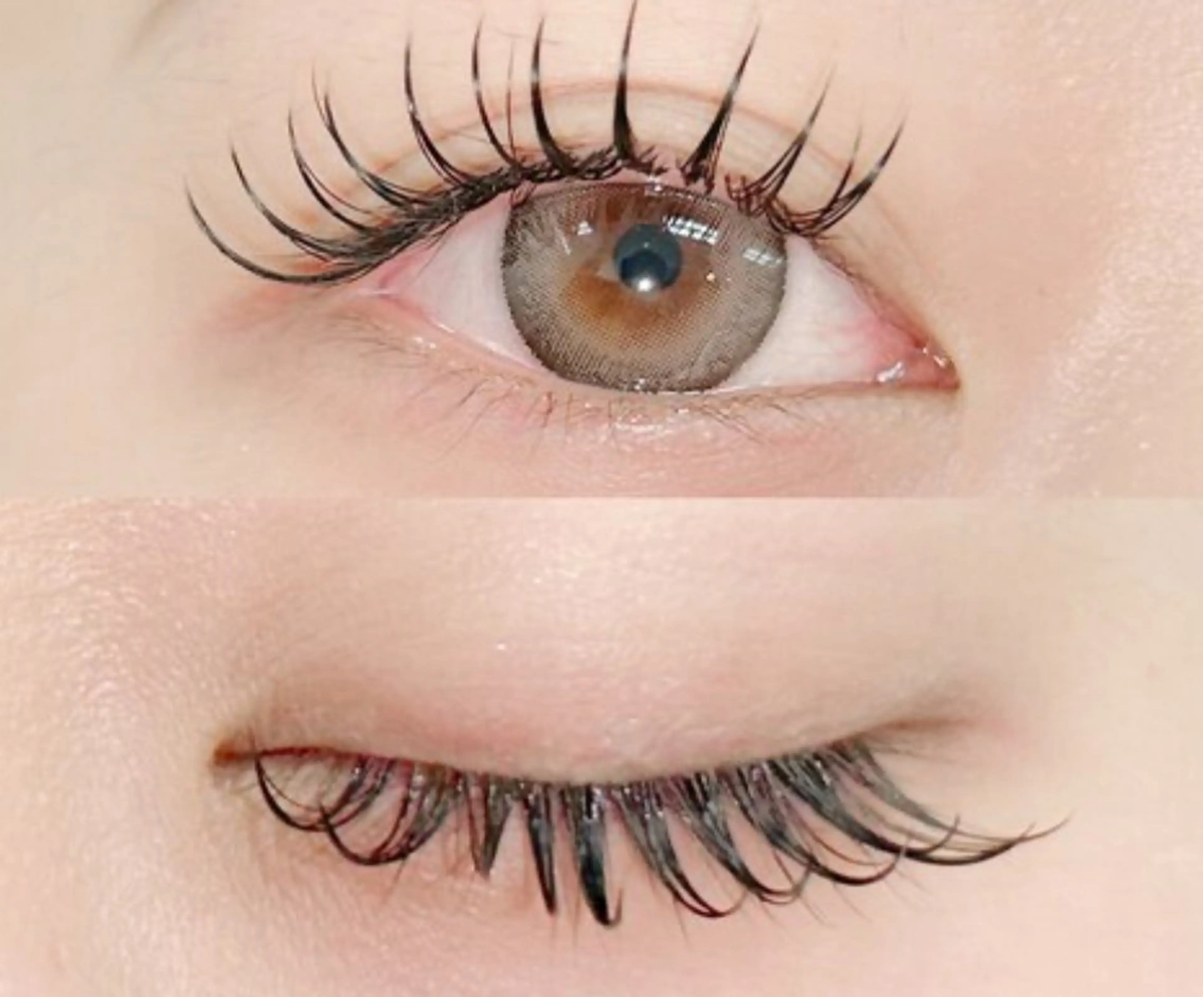 マツエク・マツパ まつ毛エクステ・眉毛専門店 プラスアイ赤羽東口店所属・山本 莉央のマツエク・マツパデザイン