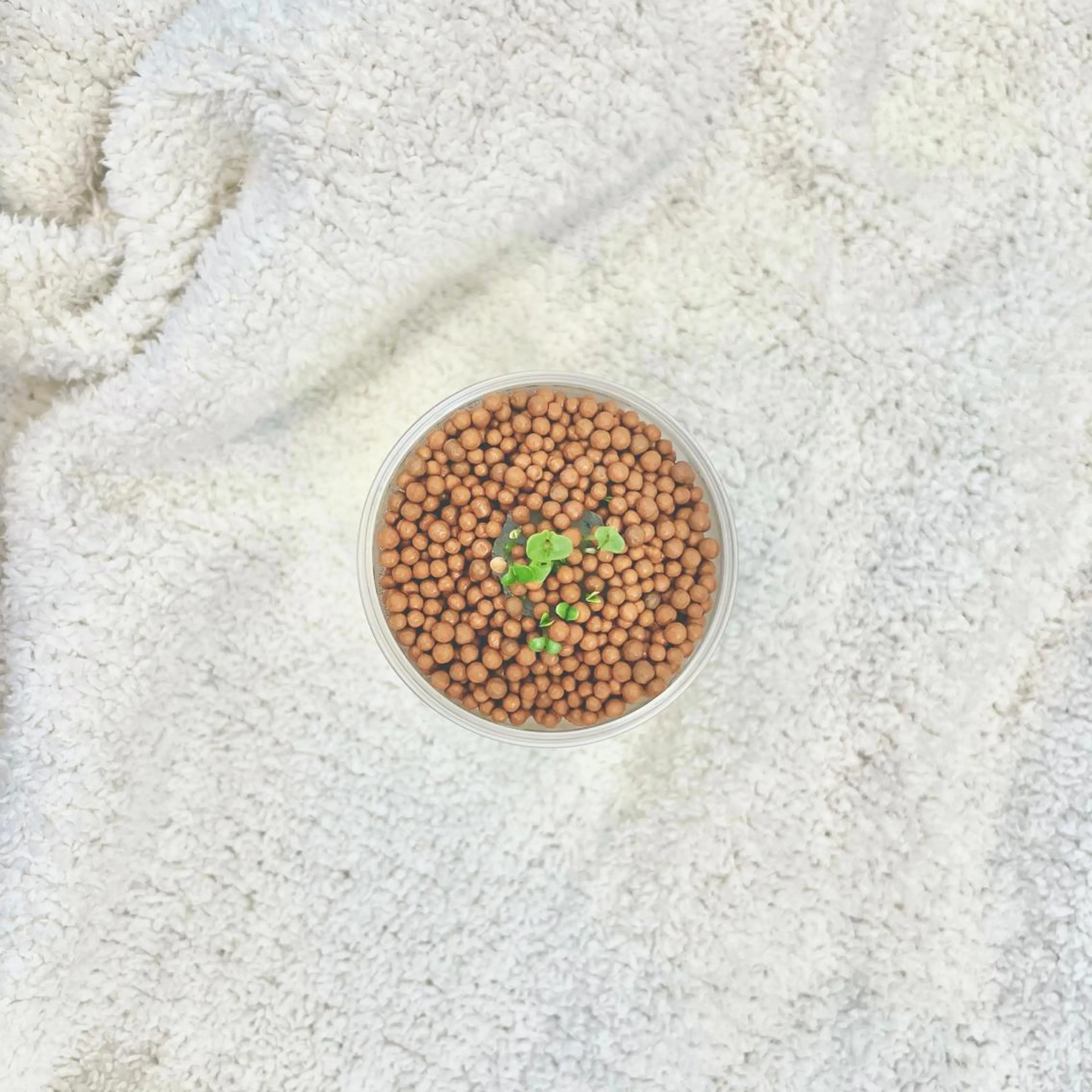 Largo🌿 明治神宮前／表参道のマツエク・マツパデザイン