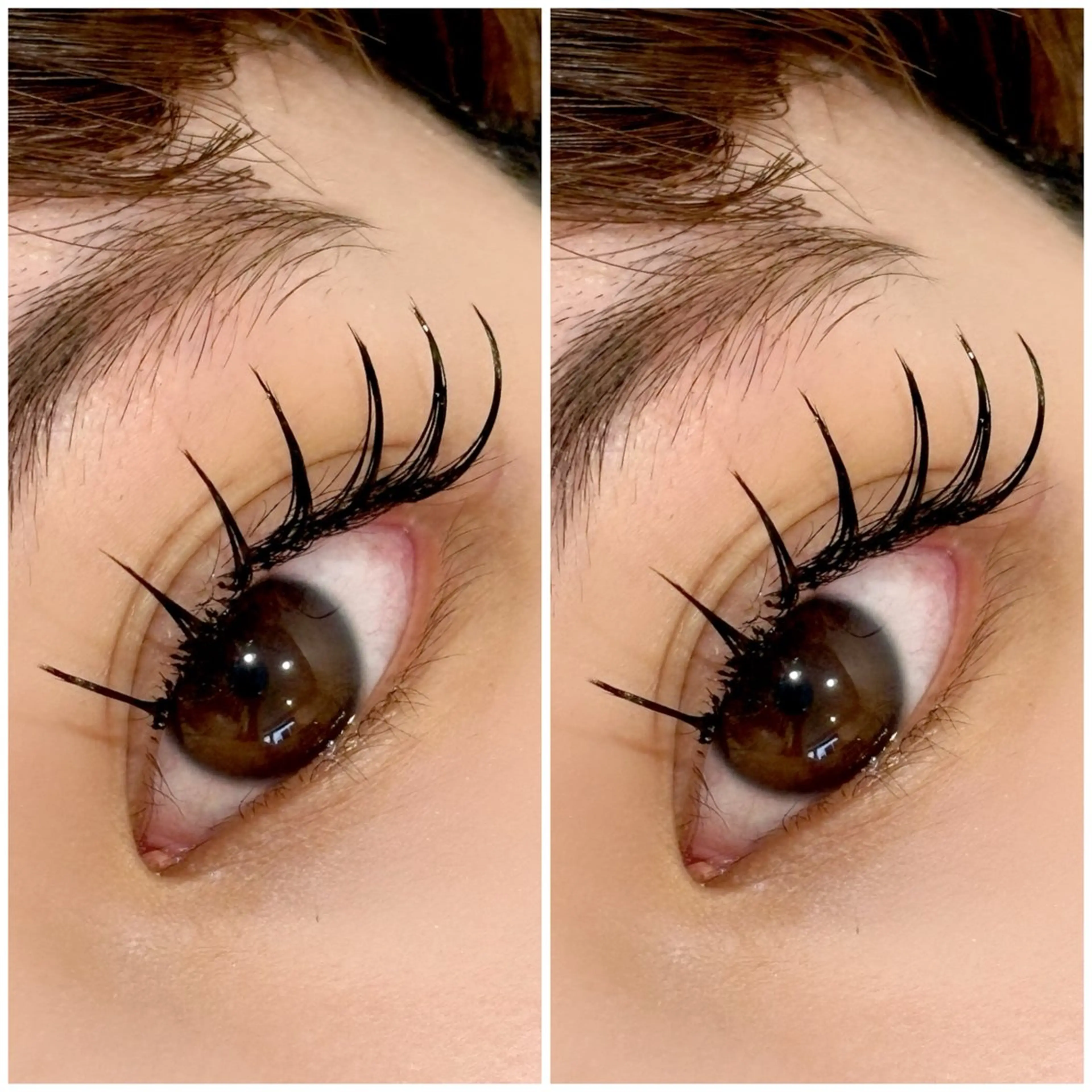 LEDマツエク100本の写真