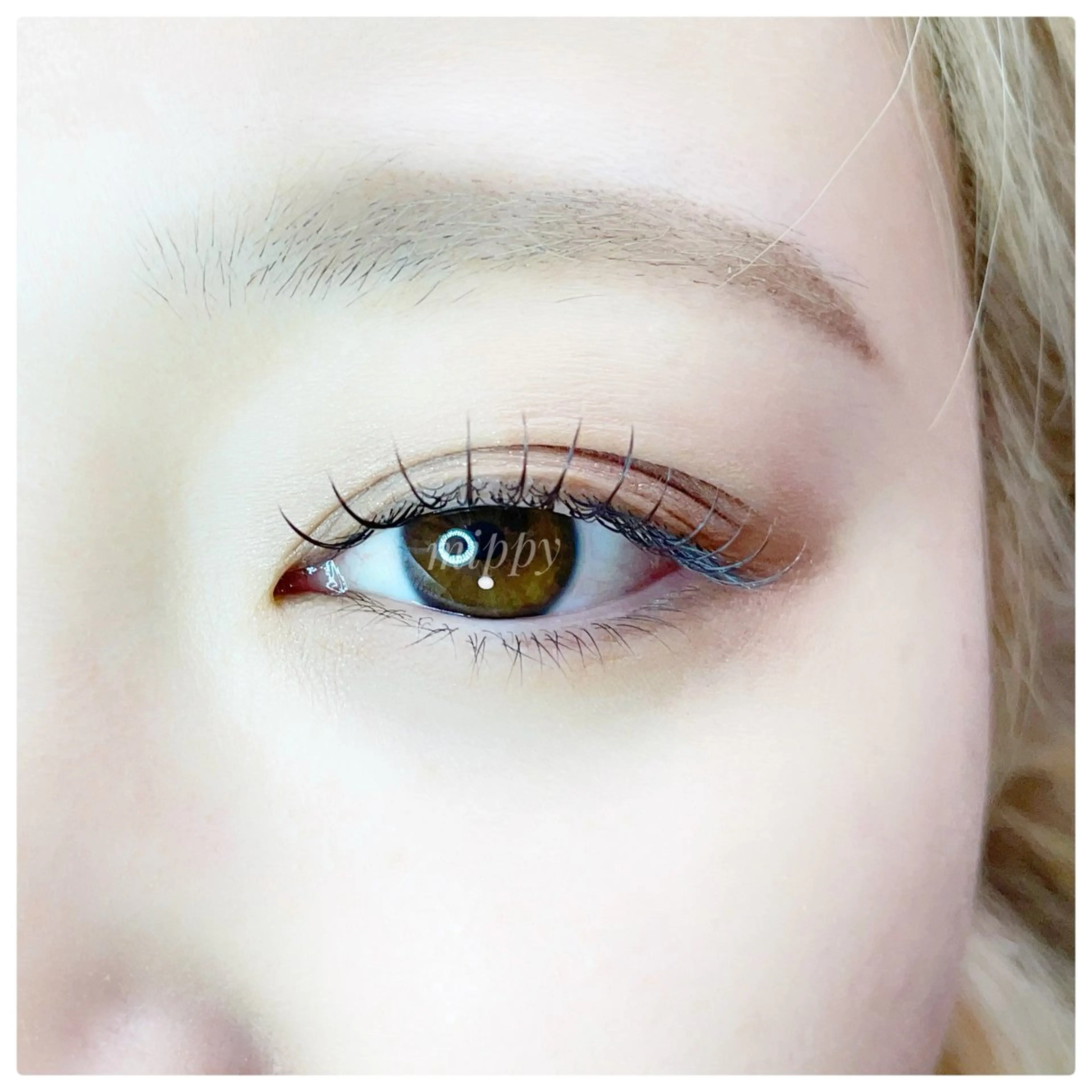 マツエク・マツパ マツエク ｍｉｐｐｙ 🪽のマツエク・マツパデザイン