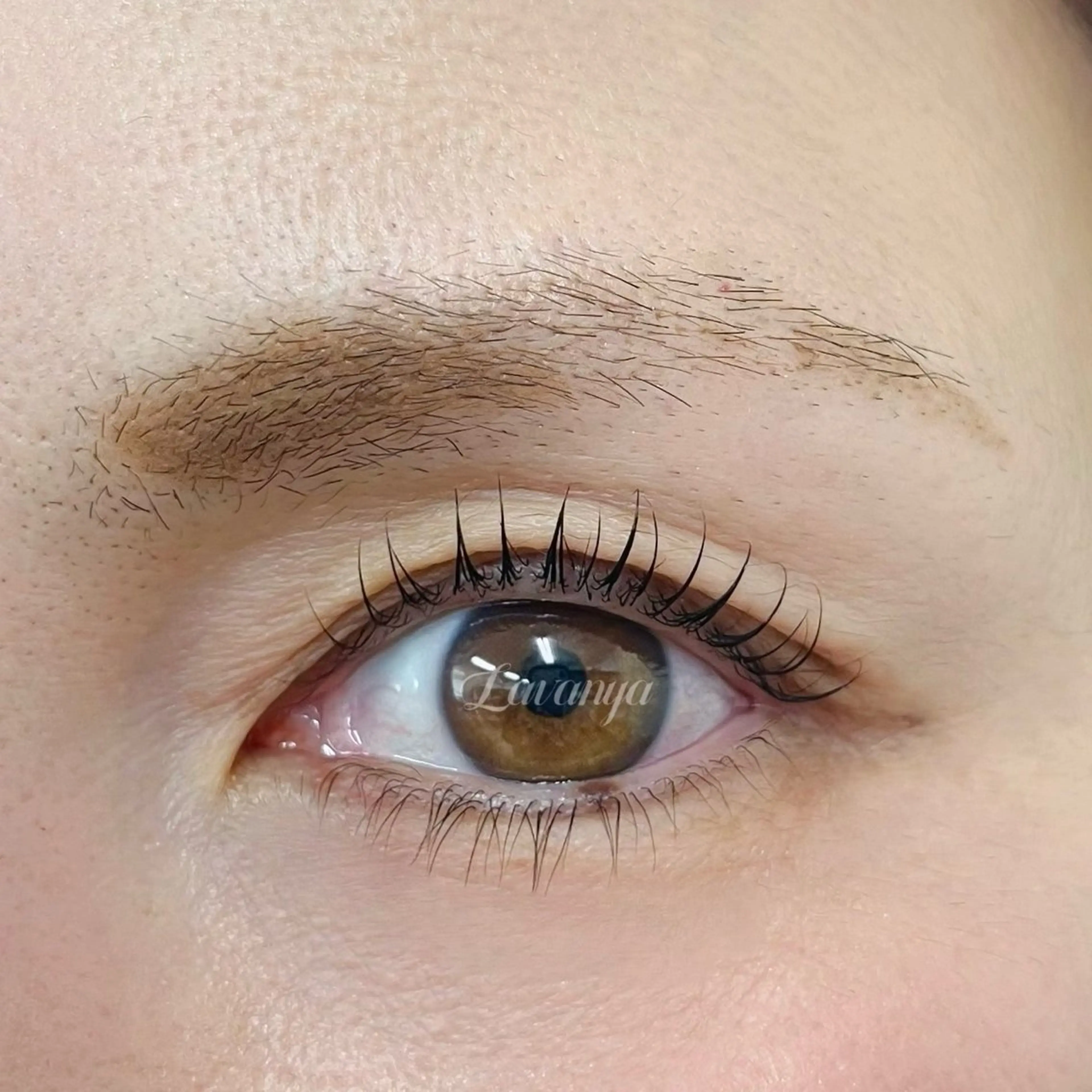 マツエク・マツパ Lavanya 鴻巣店のマツエク・マツパデザイン