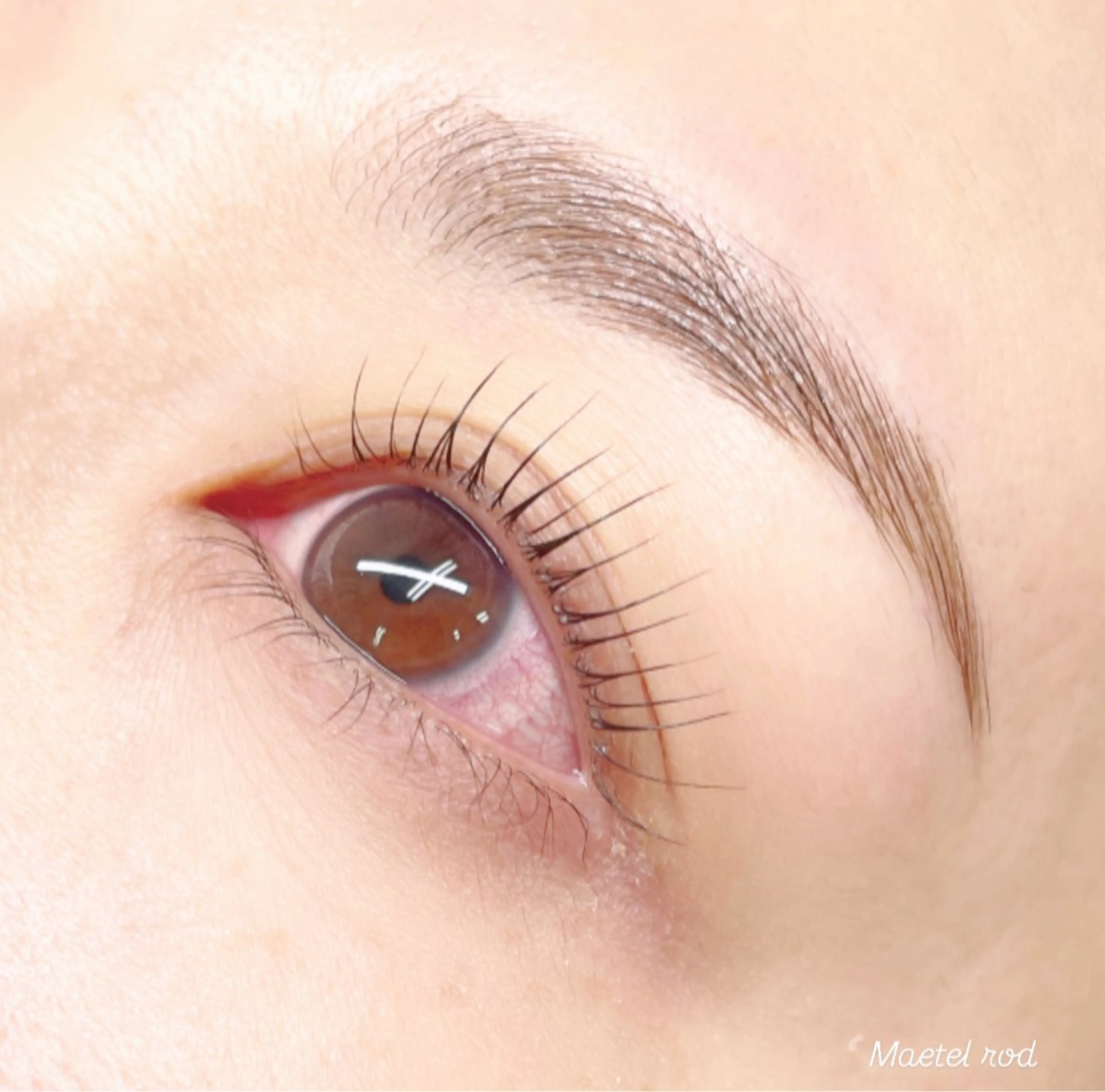 【12月21日​〜​30日限定】眉毛＆まつ毛パーマ🎁🎂クリスマス前滑り込みプラン🎄🎅レディース＆メンズどちらでも可！の写真