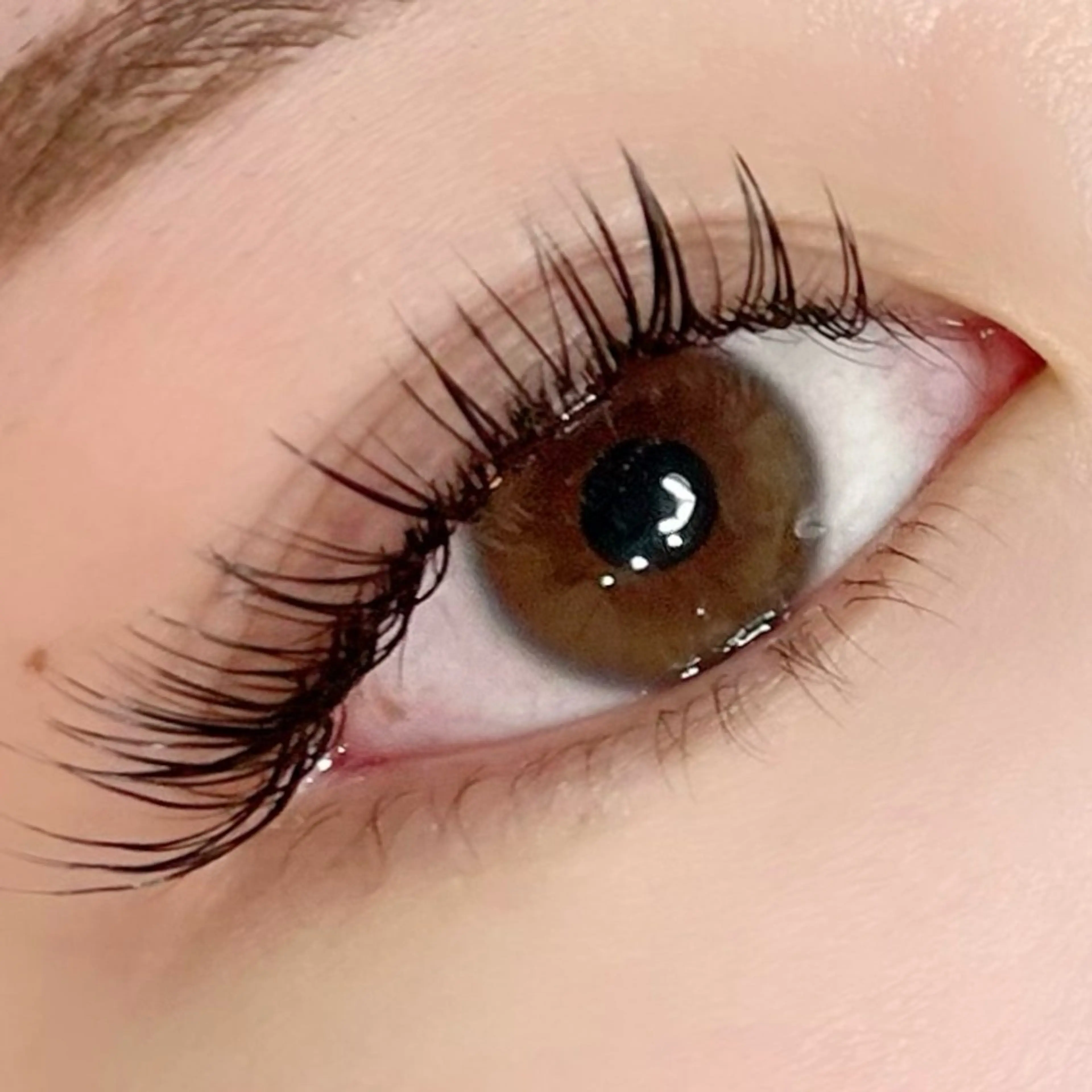 濃さ重視！バインドロックor ダブルフラットラッシュ80束(オフ、コーティング込)の写真