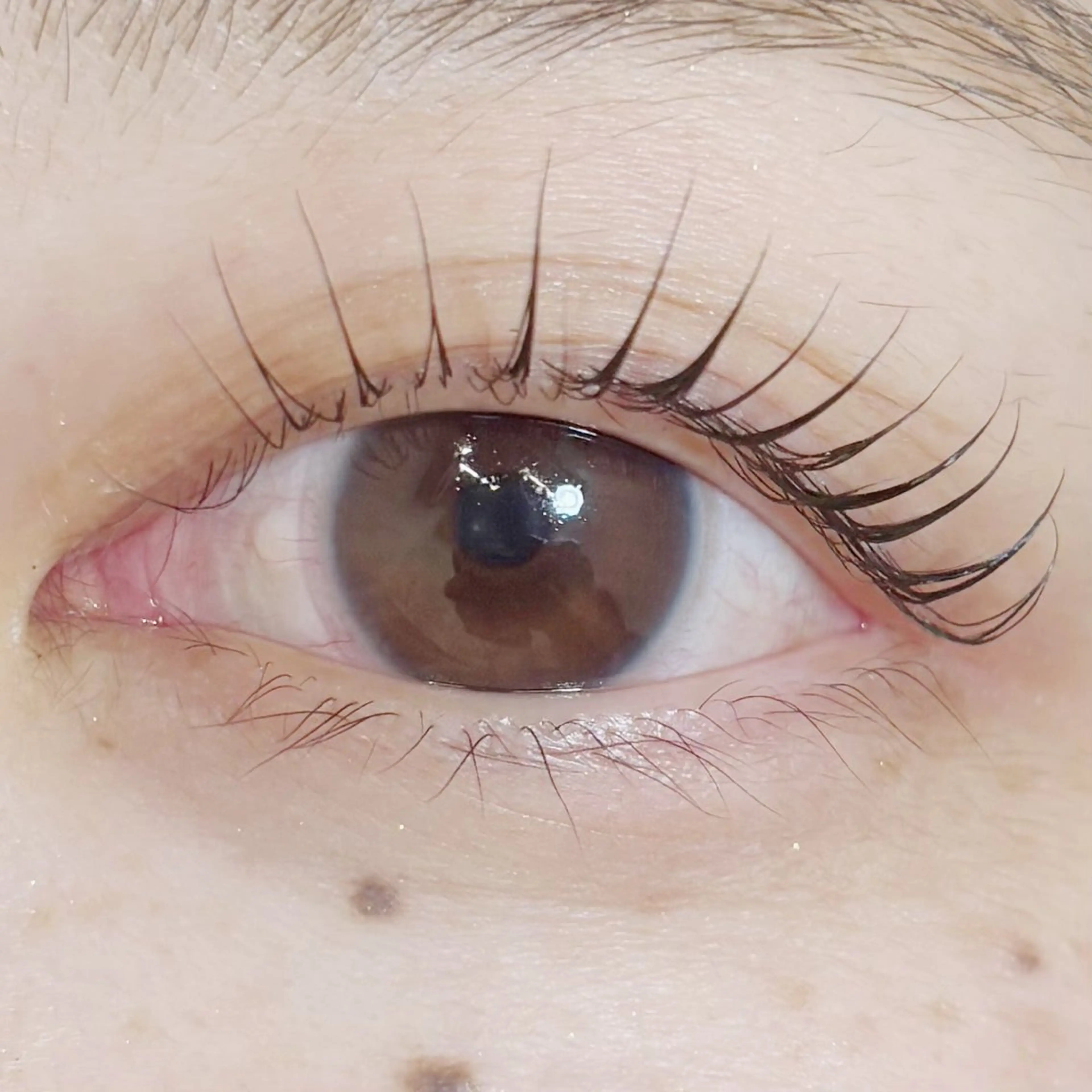 マツエク・マツパ カルフールノア大船店所属・カルフールノア大船/ Ririの眉毛・アイブロウイメージ