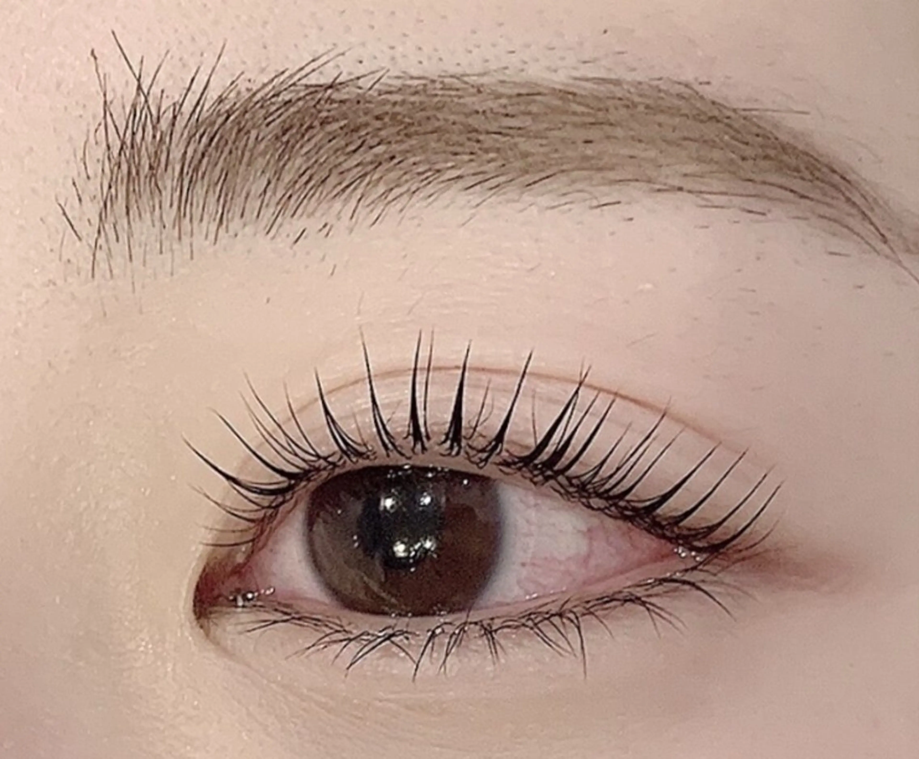 【u-24限定】目力ＵＰで華やかに🎀🫧パリジェンヌラッシュリフトの写真