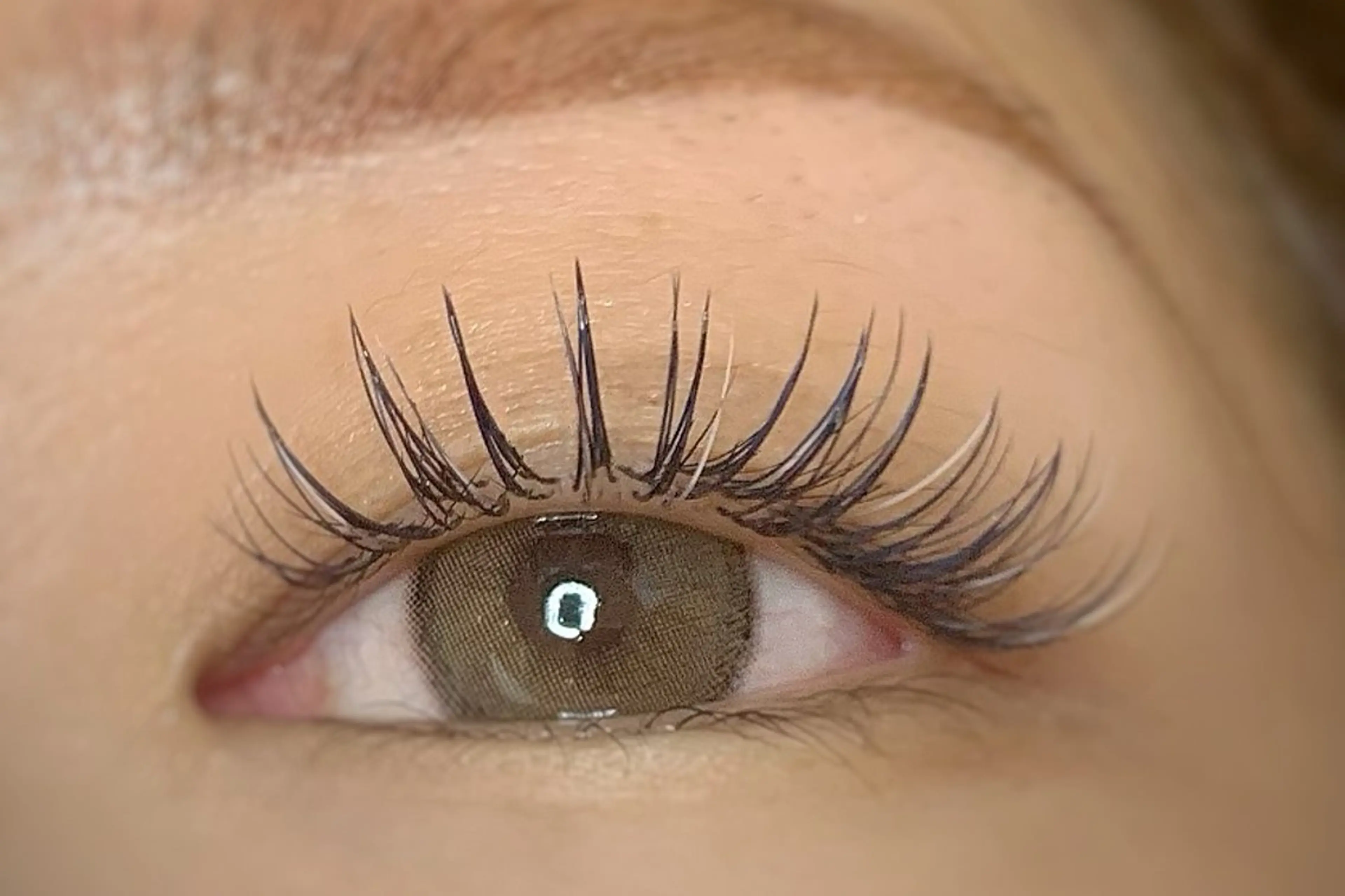 マツエク・マツパ AYLASH石川 韓国風/カラエクのマツエク・マツパデザイン