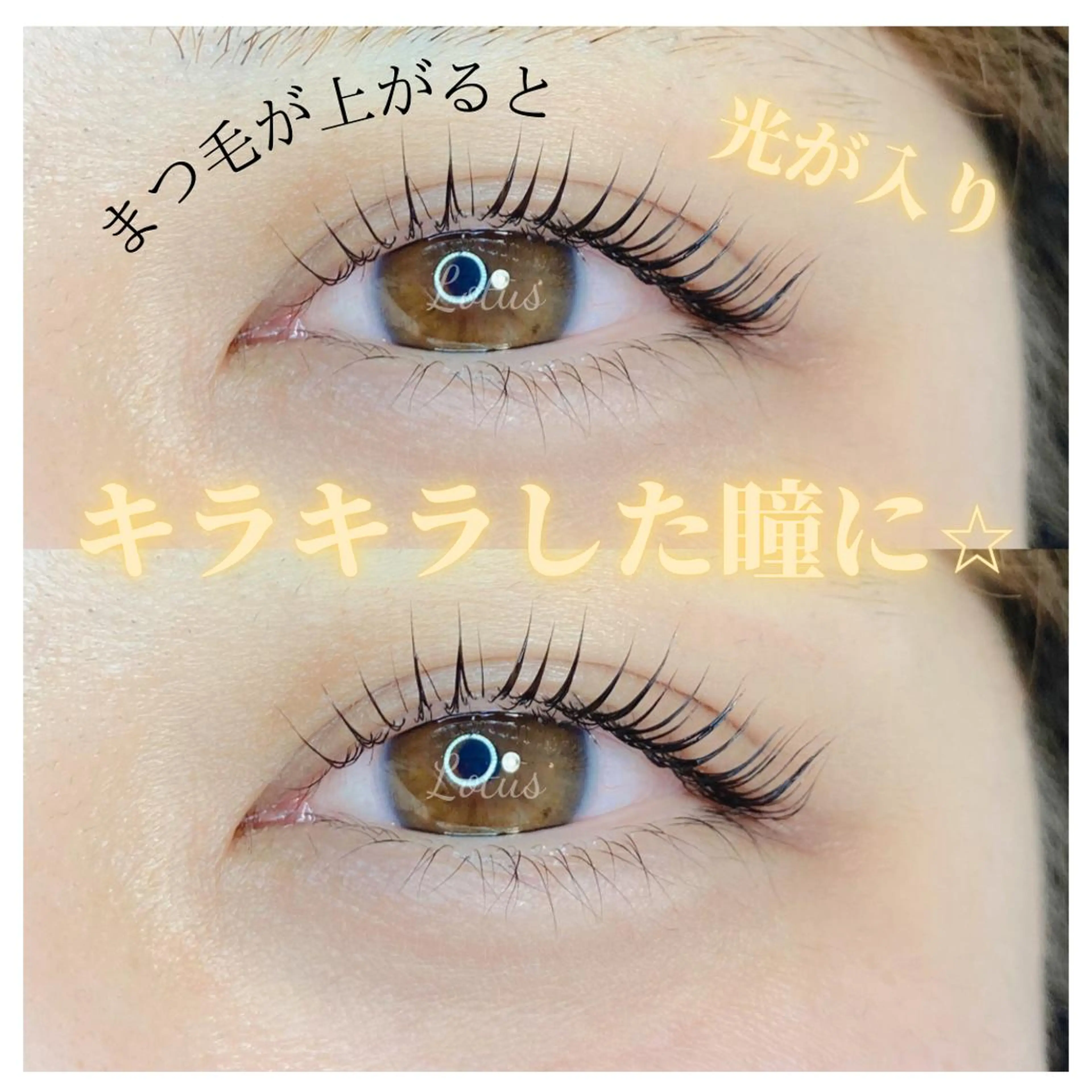 マツエク・マツパ マツパ Lotus所属・Lotus ロータスのマツエク・マツパデザイン