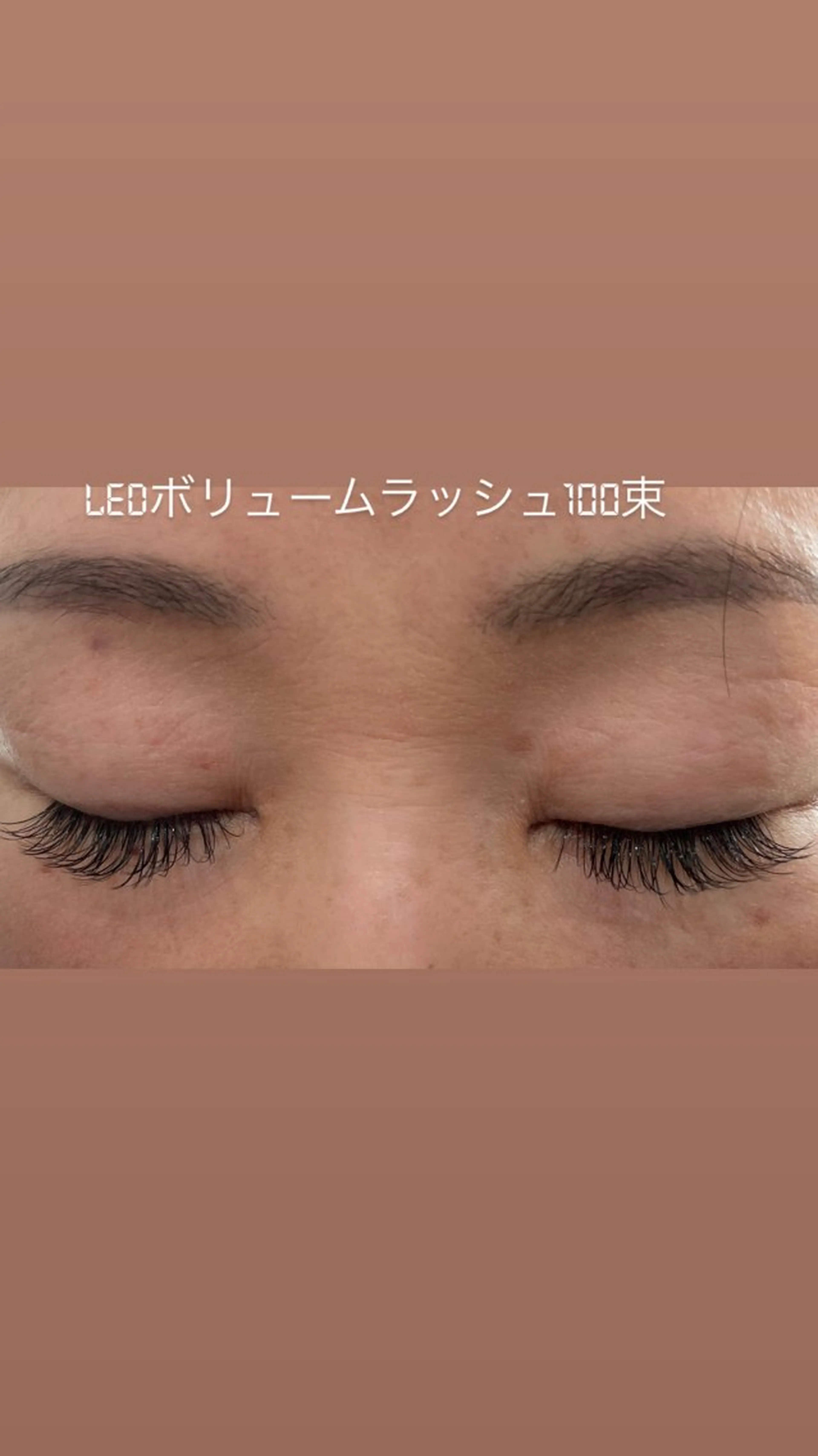 LED マツエク　シングルボリューム80束の写真