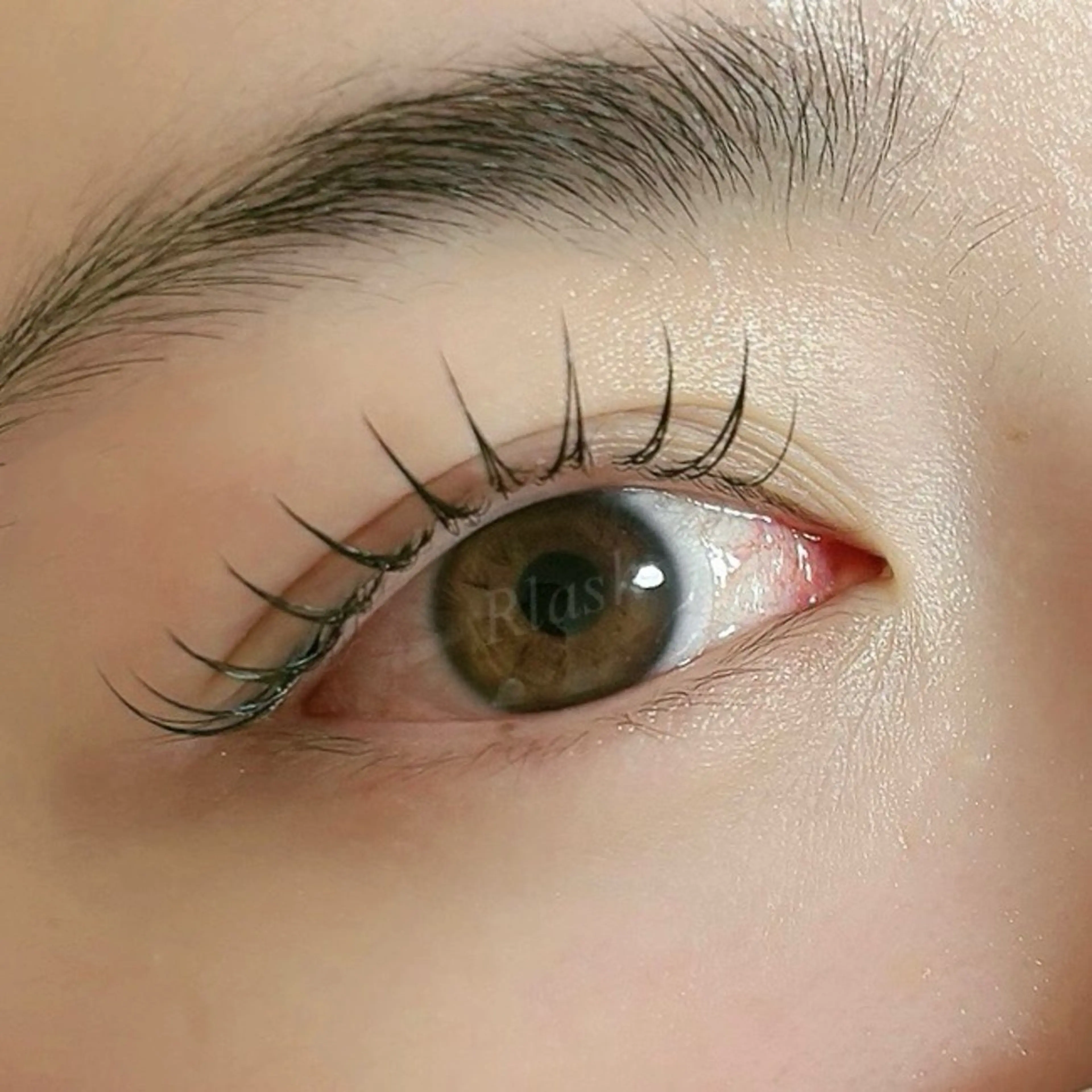 🌿アップワードラッシュ ＋ フラットラッシュ100本  8000円  120本8500円の写真