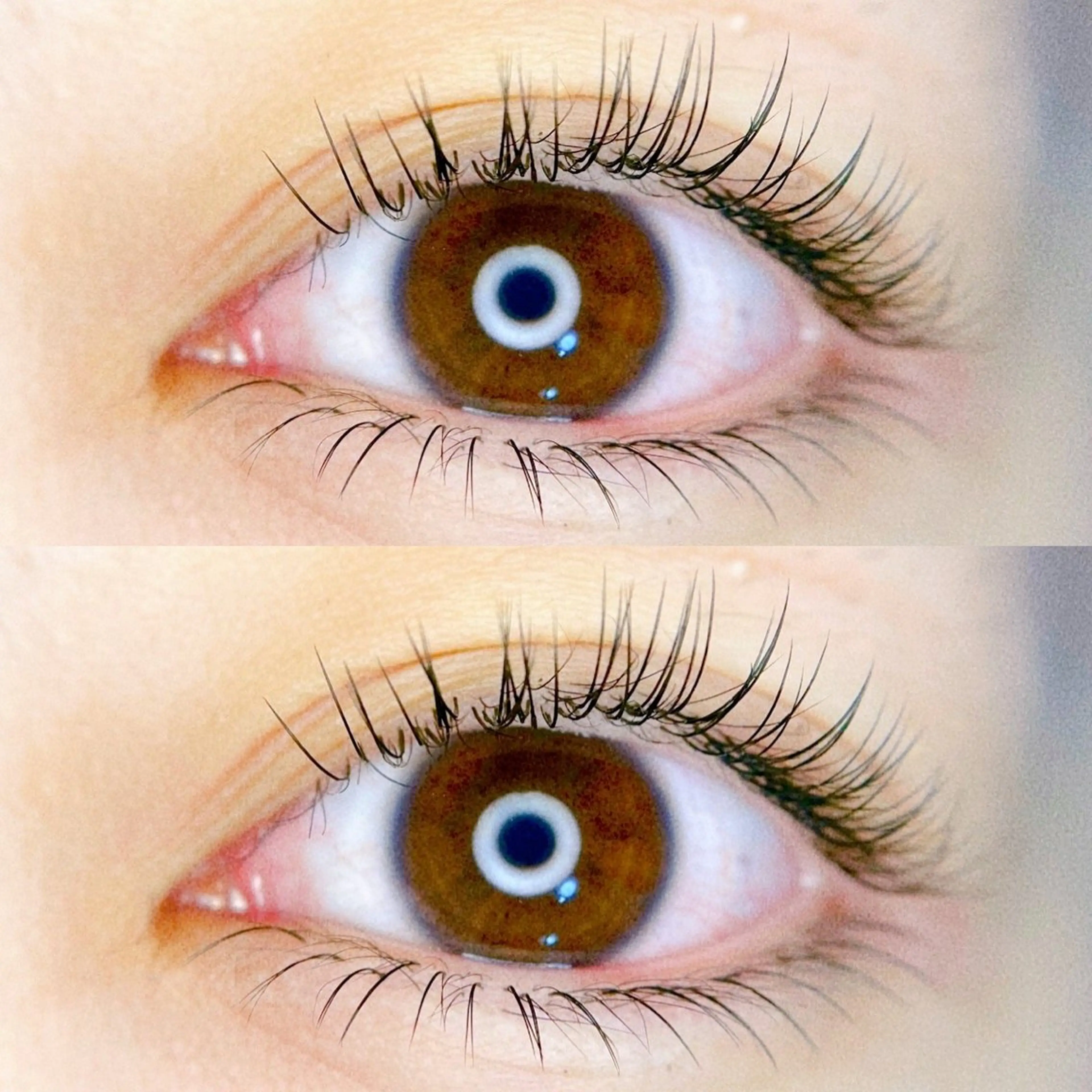 マツエク・マツパ マツエク MARL eyelash大川のマツエク・マツパデザイン