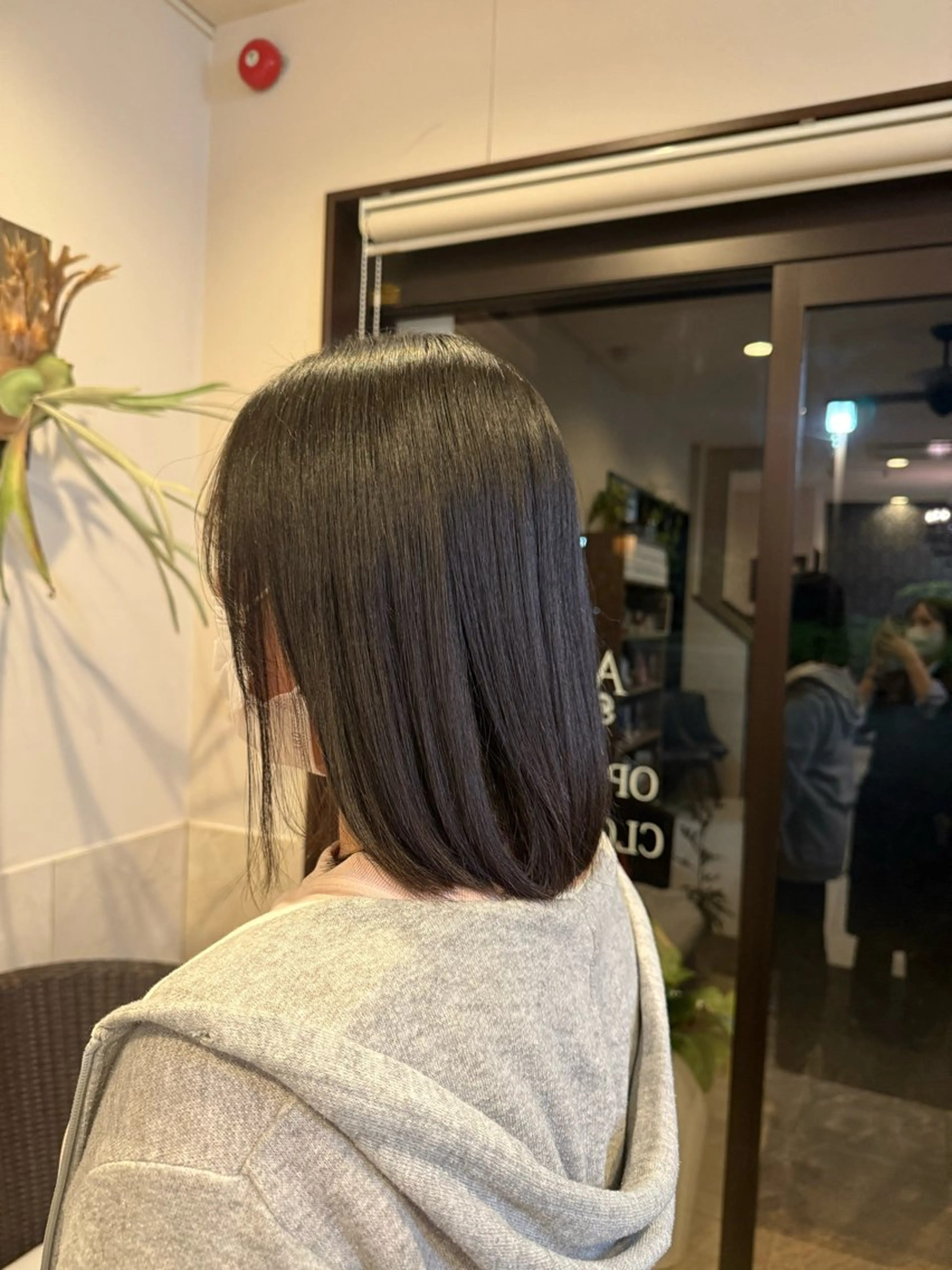 レディースカットの写真