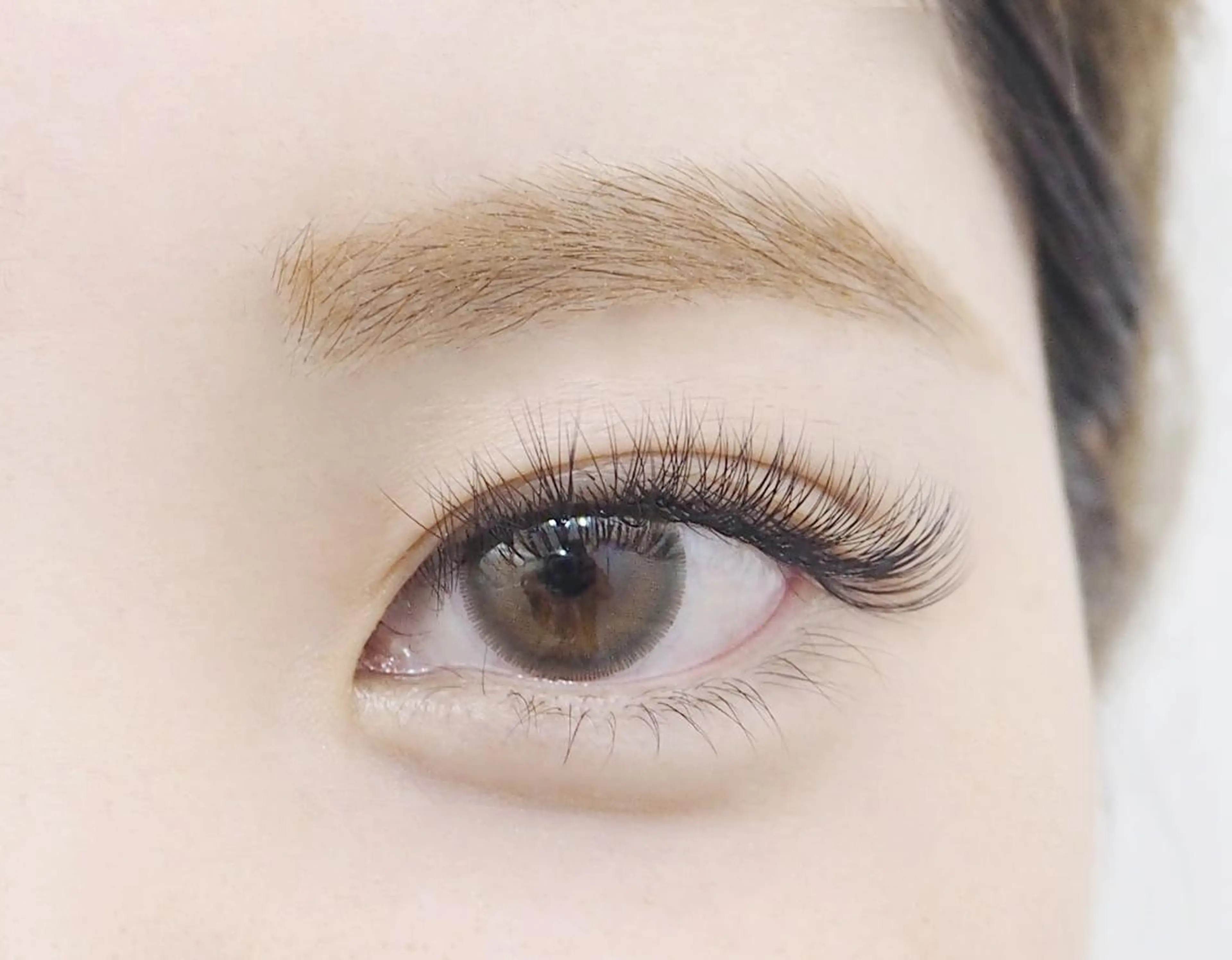 マツエク・マツパ ボリュームラッシュ 須貝 スガイの眉毛・アイブロウイメージ