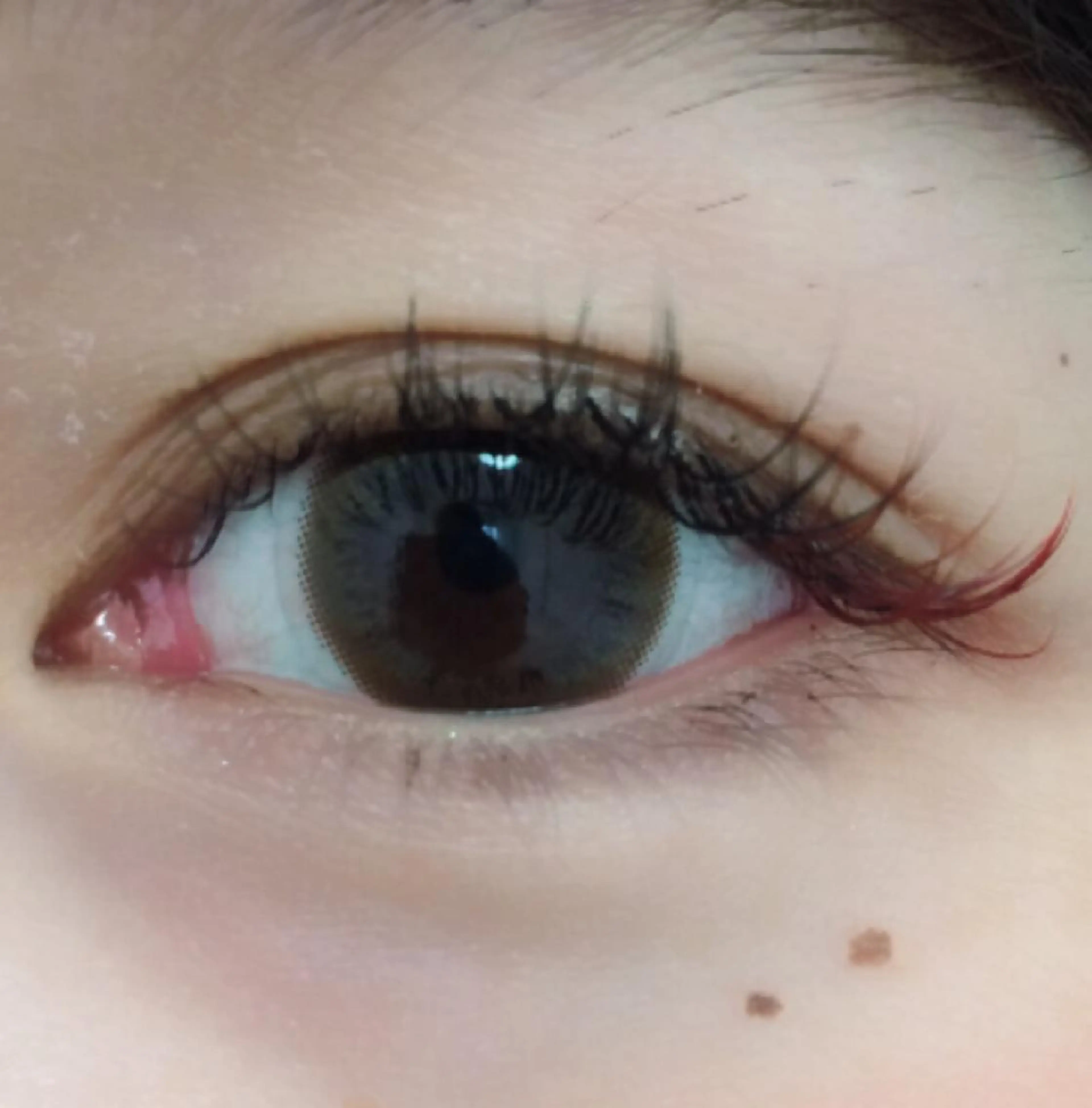 マツエク・マツパ Cカール カラーマツエク セクシー Allybell🫧 Annaのマツエク・マツパデザイン