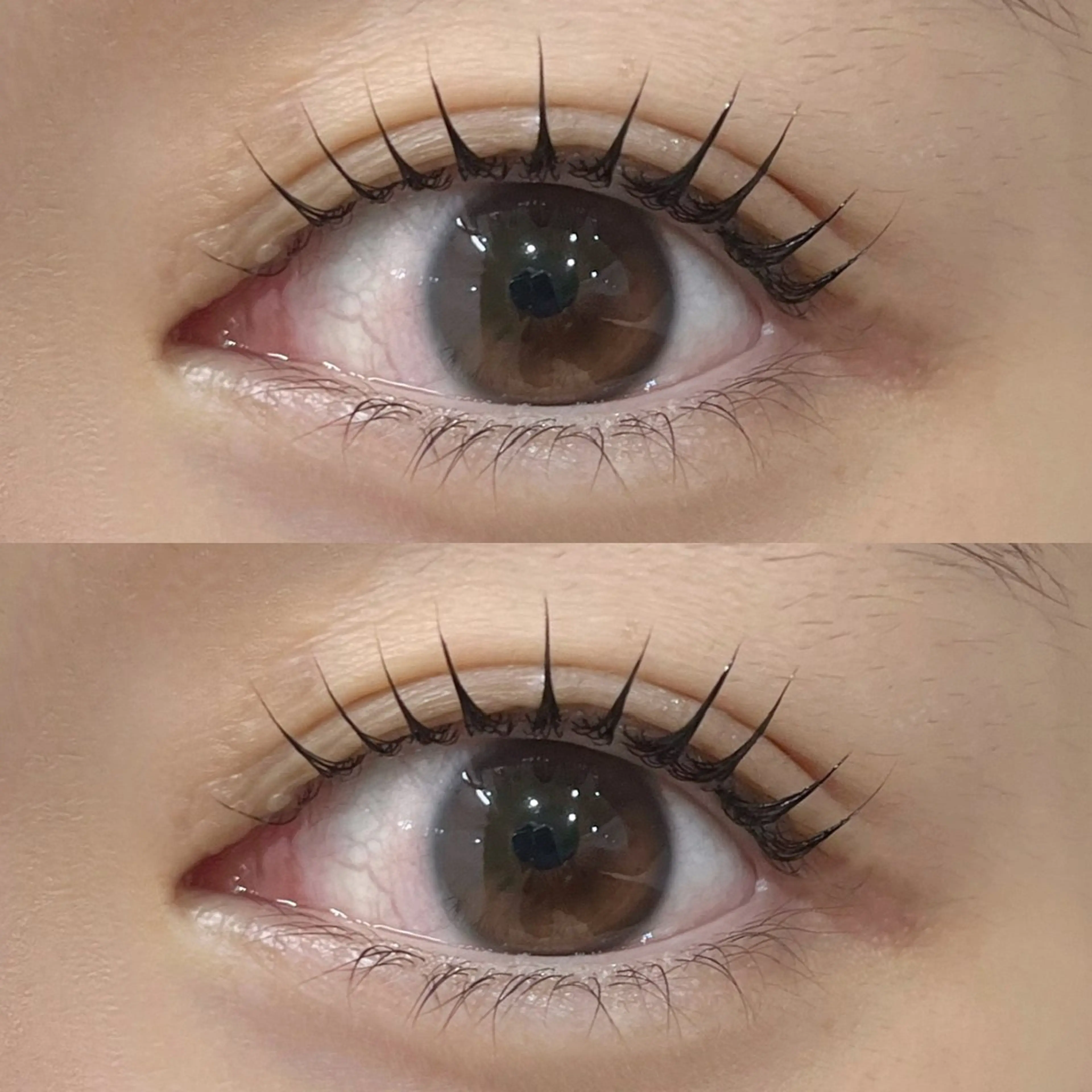 平日限定˚✧₊⁎マツパorパリジェンヌの写真