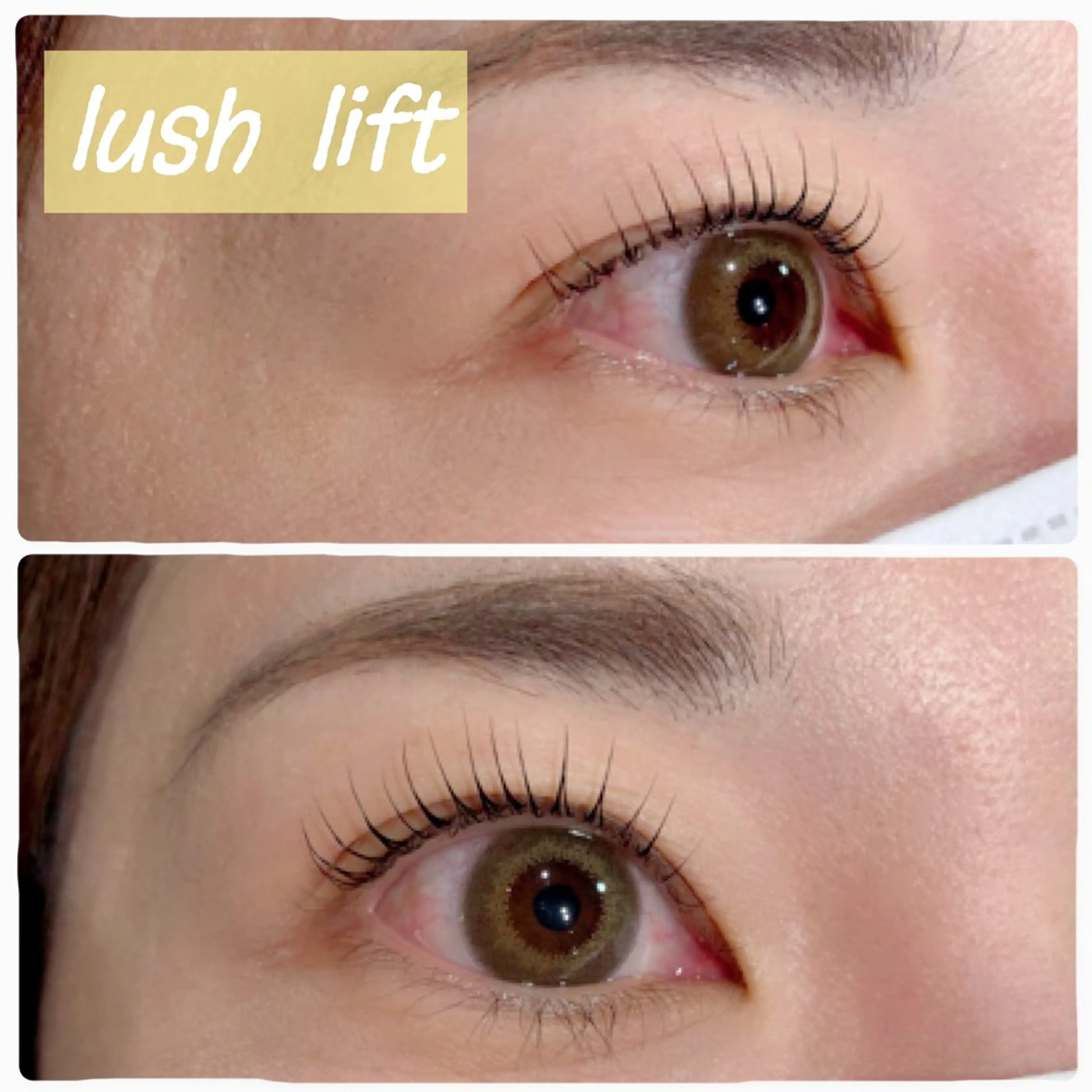 ❄️⛄️選べるまつ毛パーマ🌲✨〔ラッシュリフト〕の写真