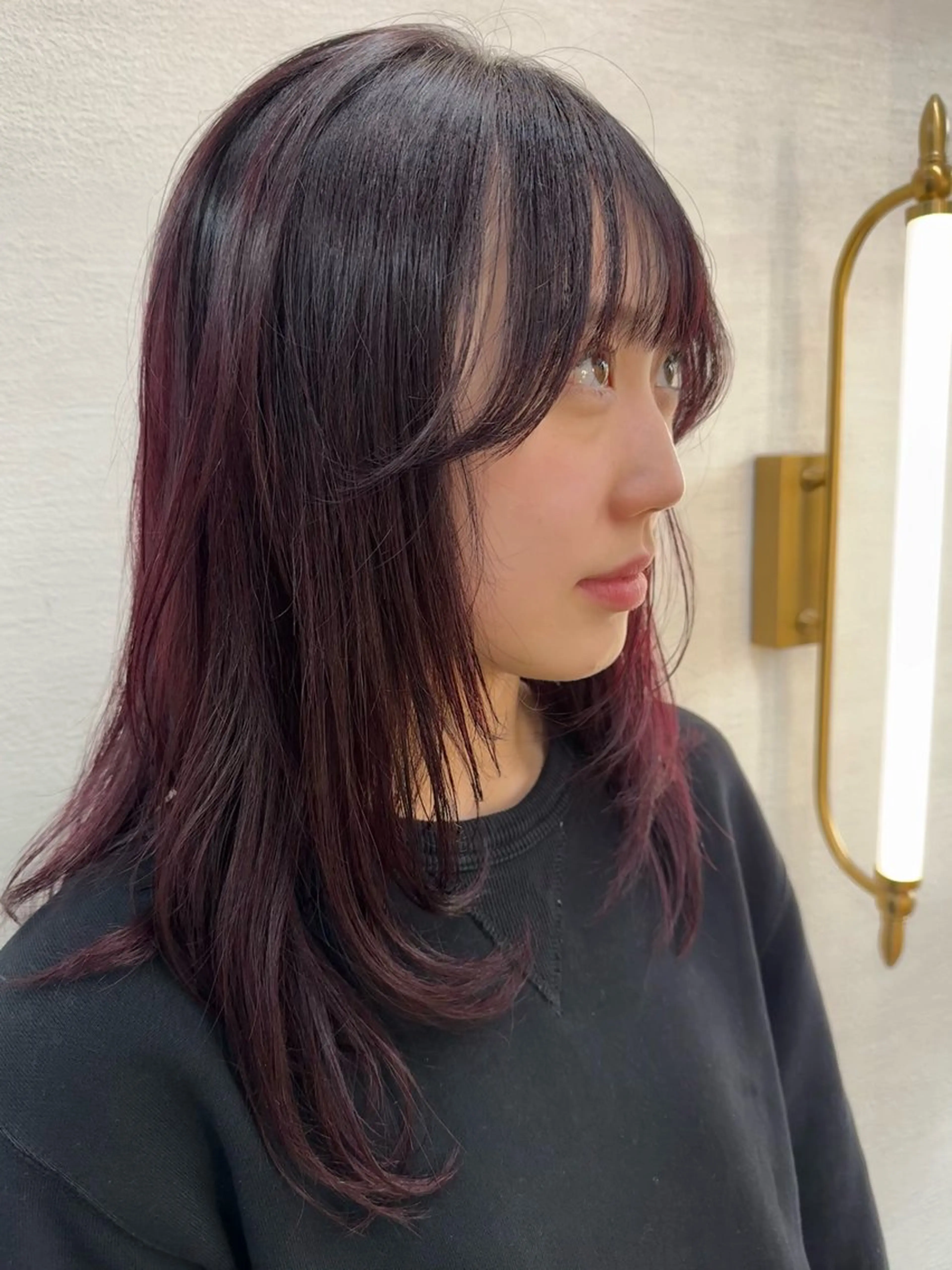 セミロング レイヤーカット 艶カラー/レイヤー Mio🌸のヘアスタイル