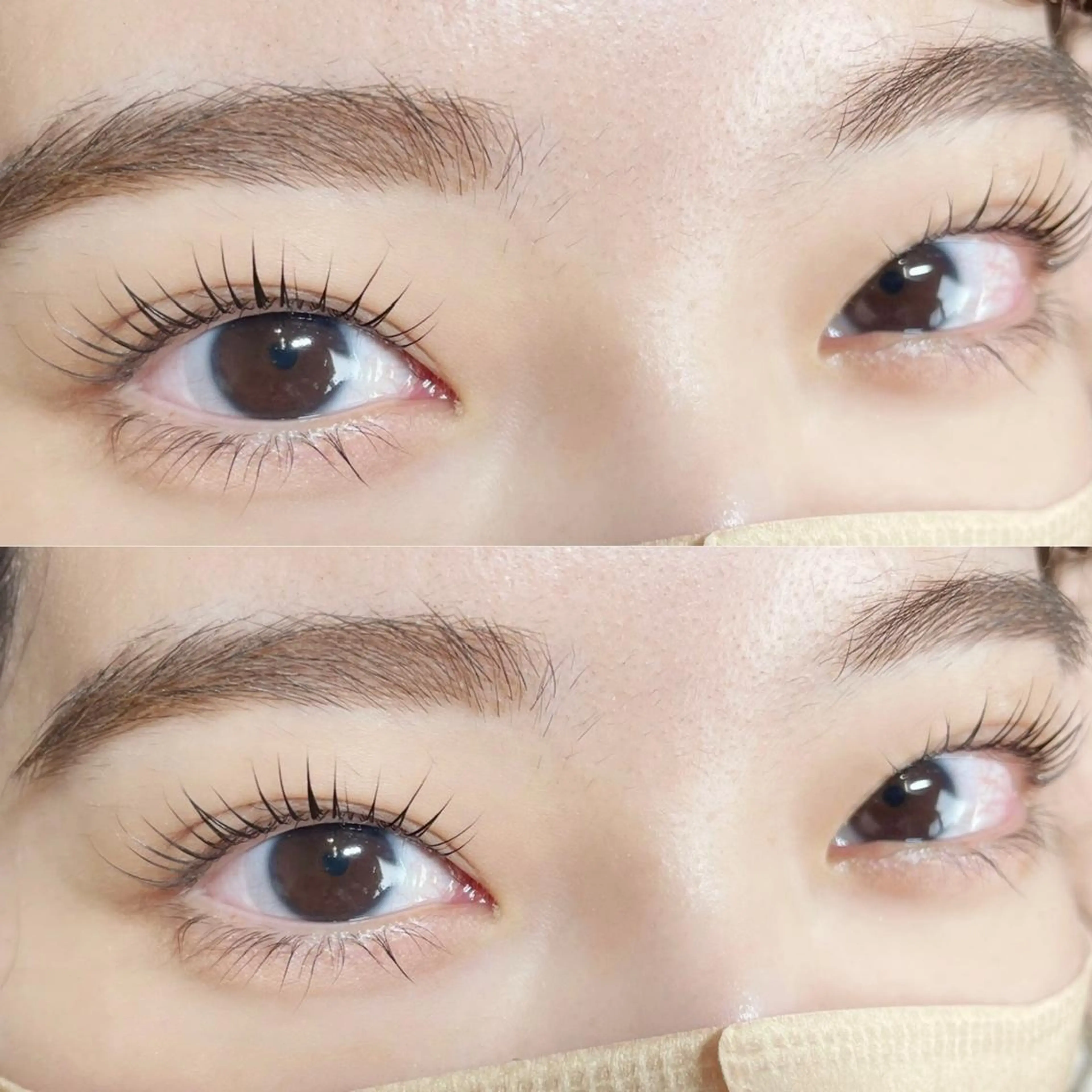 【1日限定2名様✨】上まつ毛パーマの写真