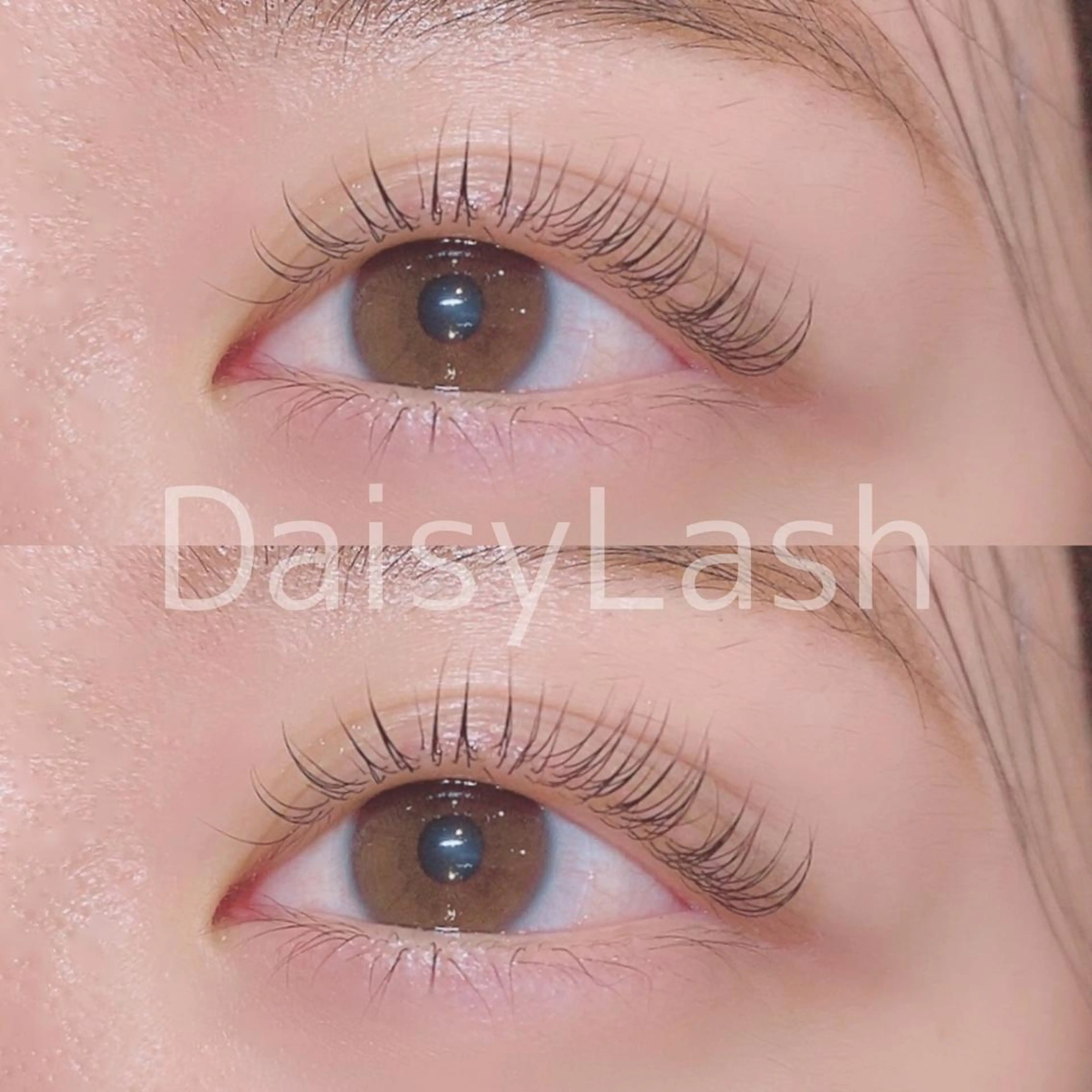 マツエク・マツパ DaisyLash 京橋店のマツエク・マツパデザイン