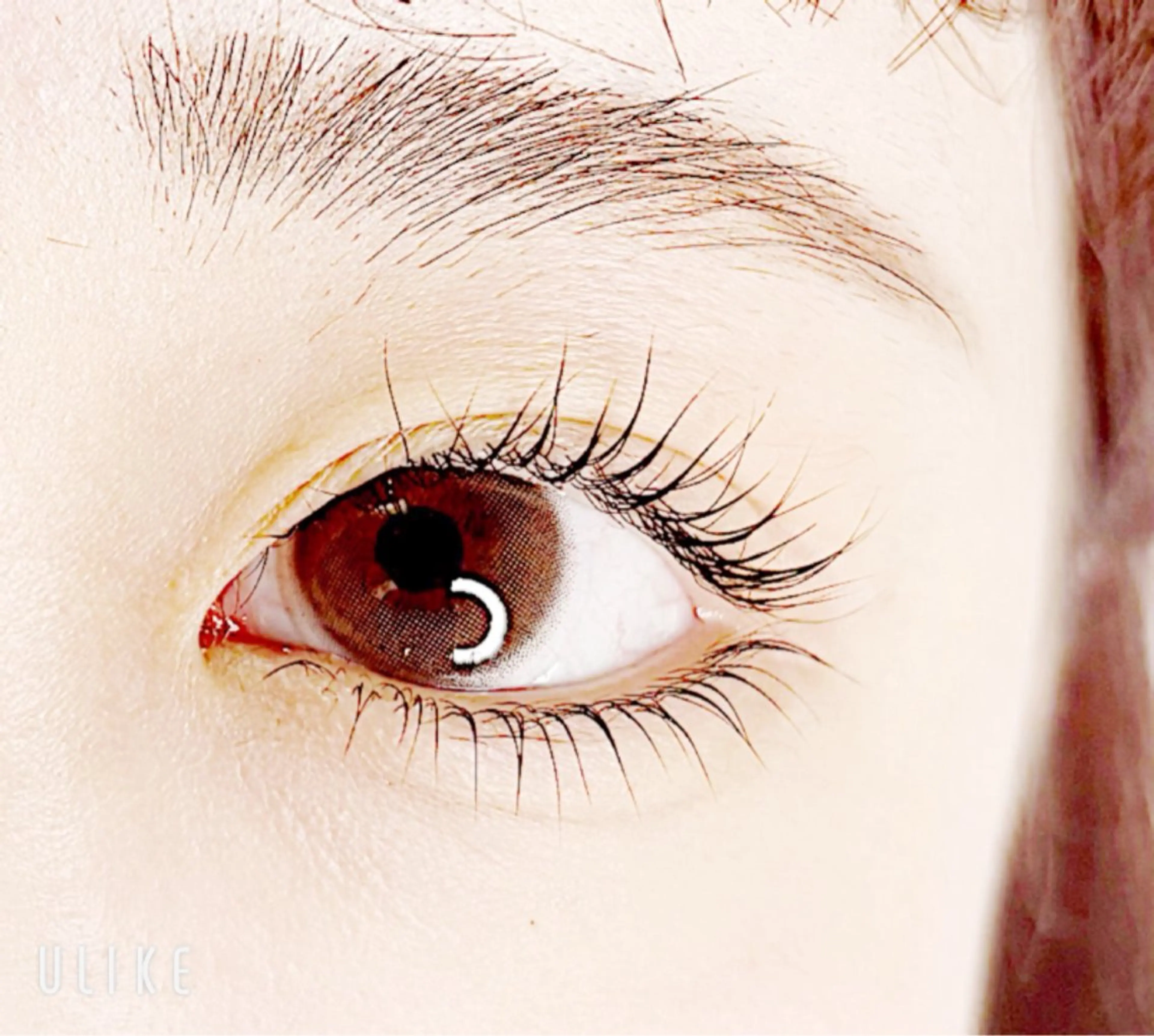 🉐上下パリジェンヌ ラッシュリフト🌟【仕上げコーティング付き】パリジェンヌ/アイブロウ/まゆげWax/北区/麻生の写真