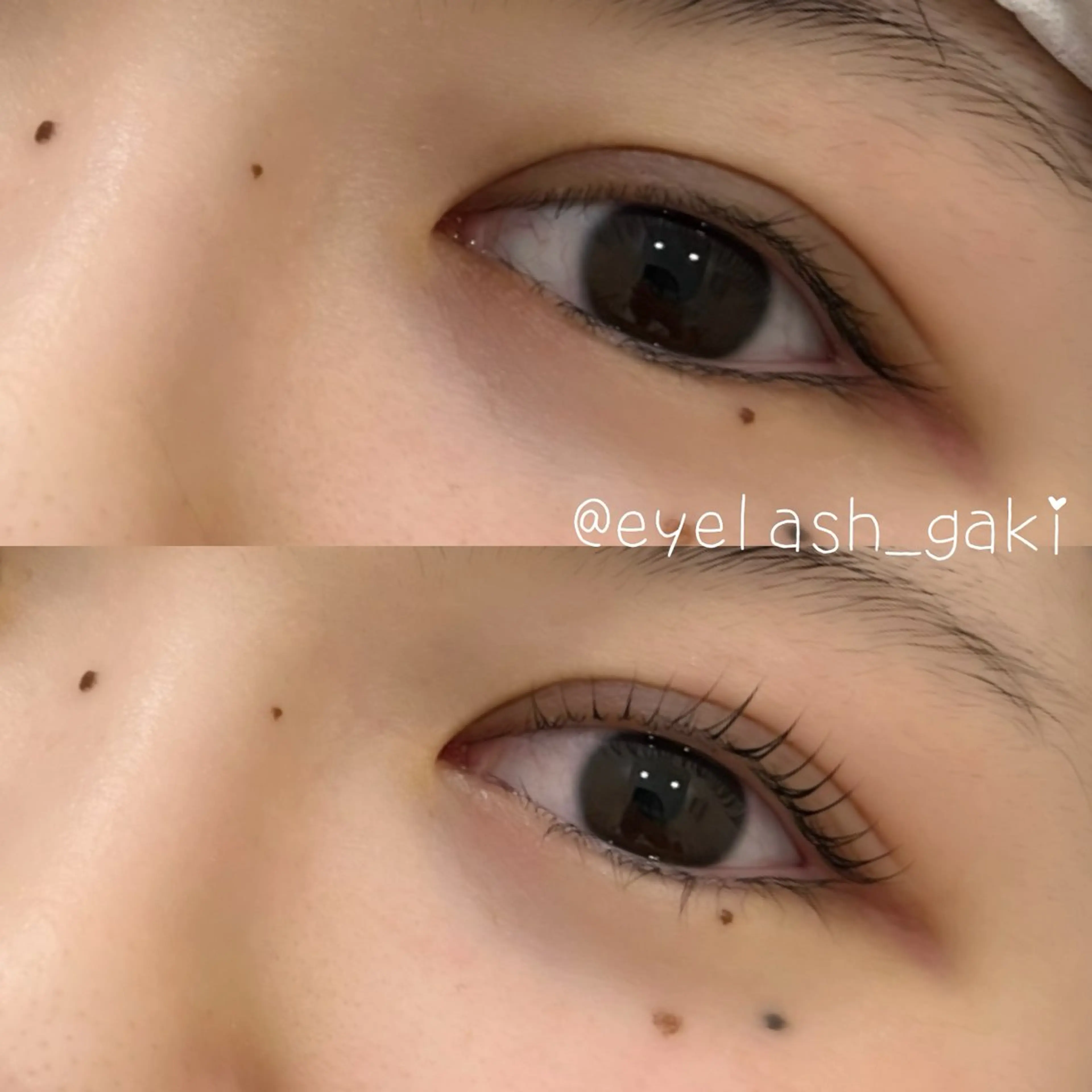 マツエク・マツパ 💐ANELA 板垣🧸のマツエク・マツパデザイン