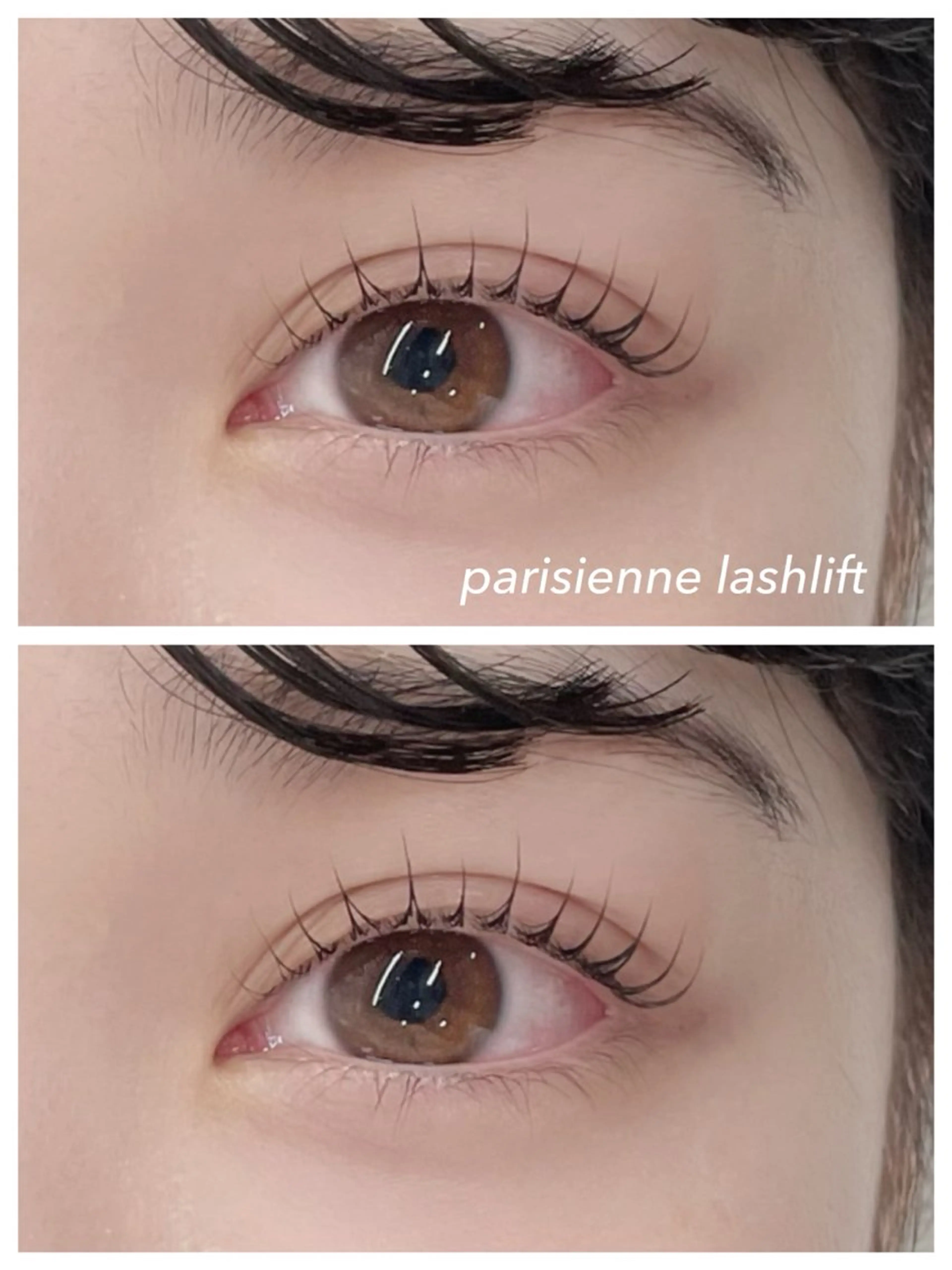 マツエク・マツパ パリジェンヌラッシュリフト mila.池袋 🤍ヨコヤマのマツエク・マツパデザイン