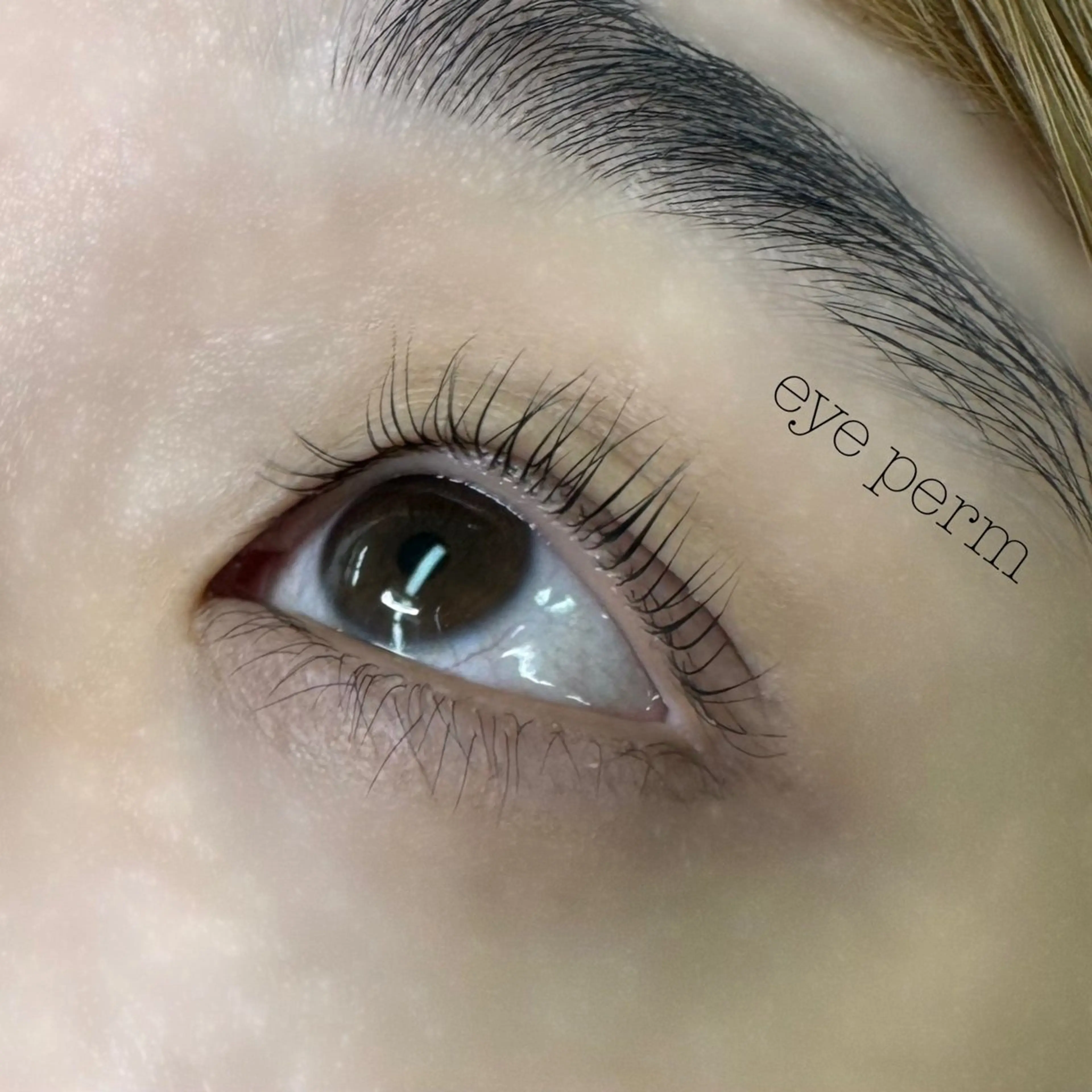 マツエク・マツパ TRUNAIL&EYE大宮店所属・TRU大宮 みれい🧸のマツエク・マツパデザイン