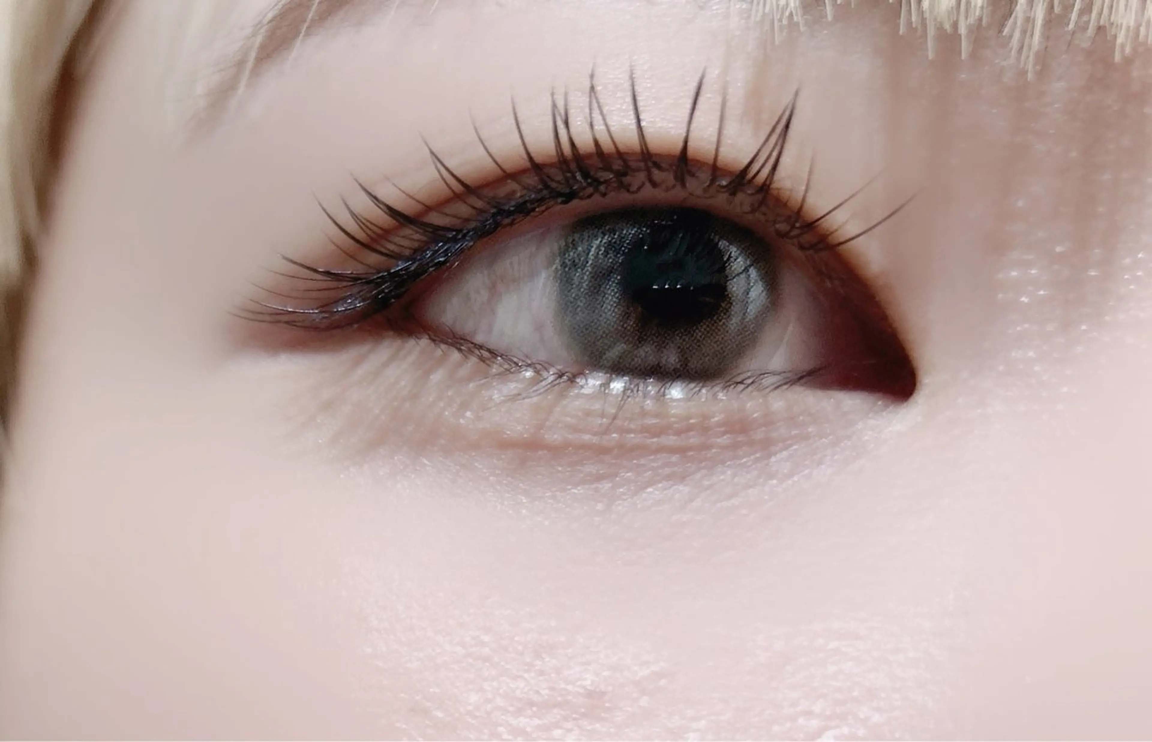 マツエク・マツパ Jカール セクシー マツエク レイ ⭐︎のマツエク・マツパデザイン