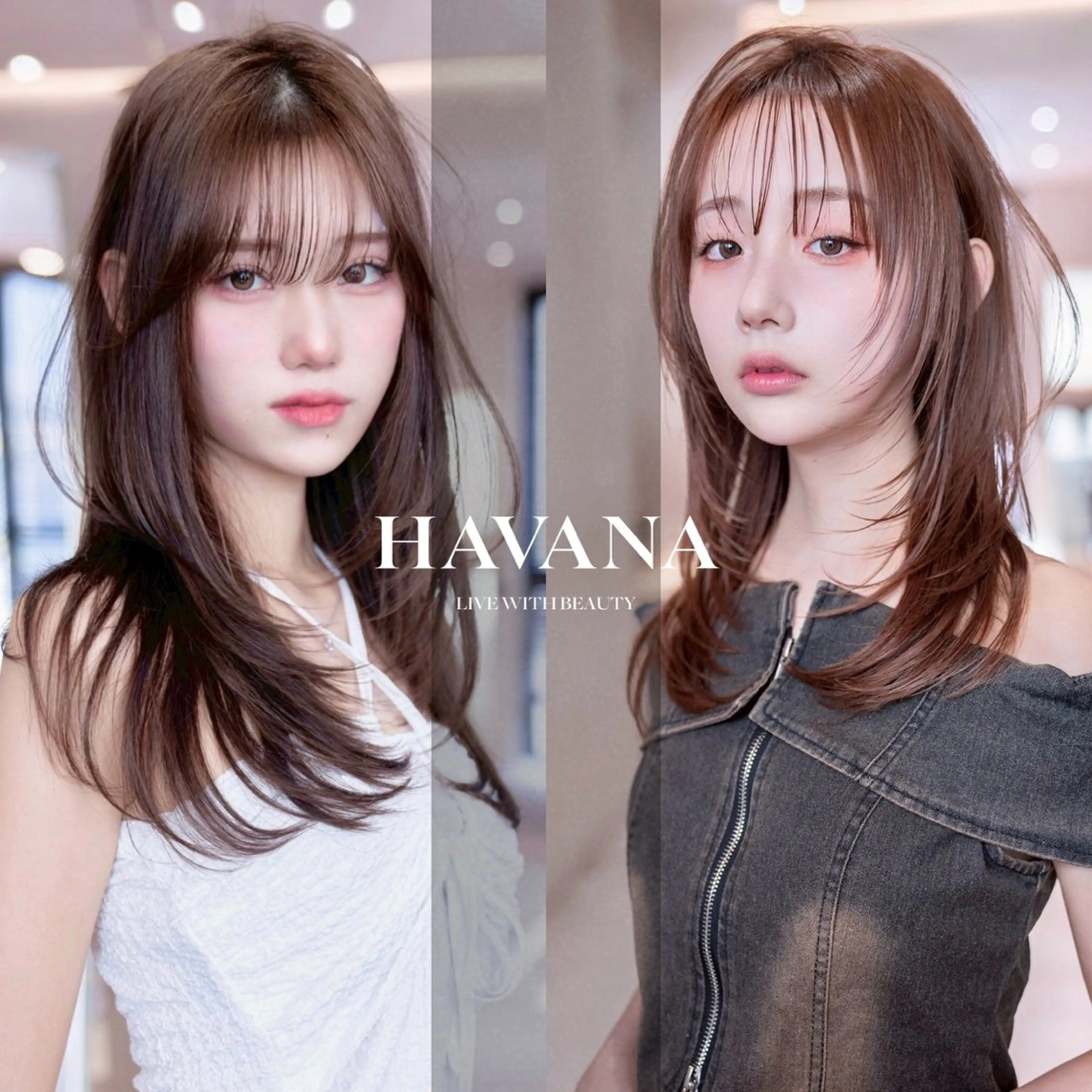 ミディアム カラー カット ヘアカラー ill havana 【レイヤー/韓国】のヘアスタイル