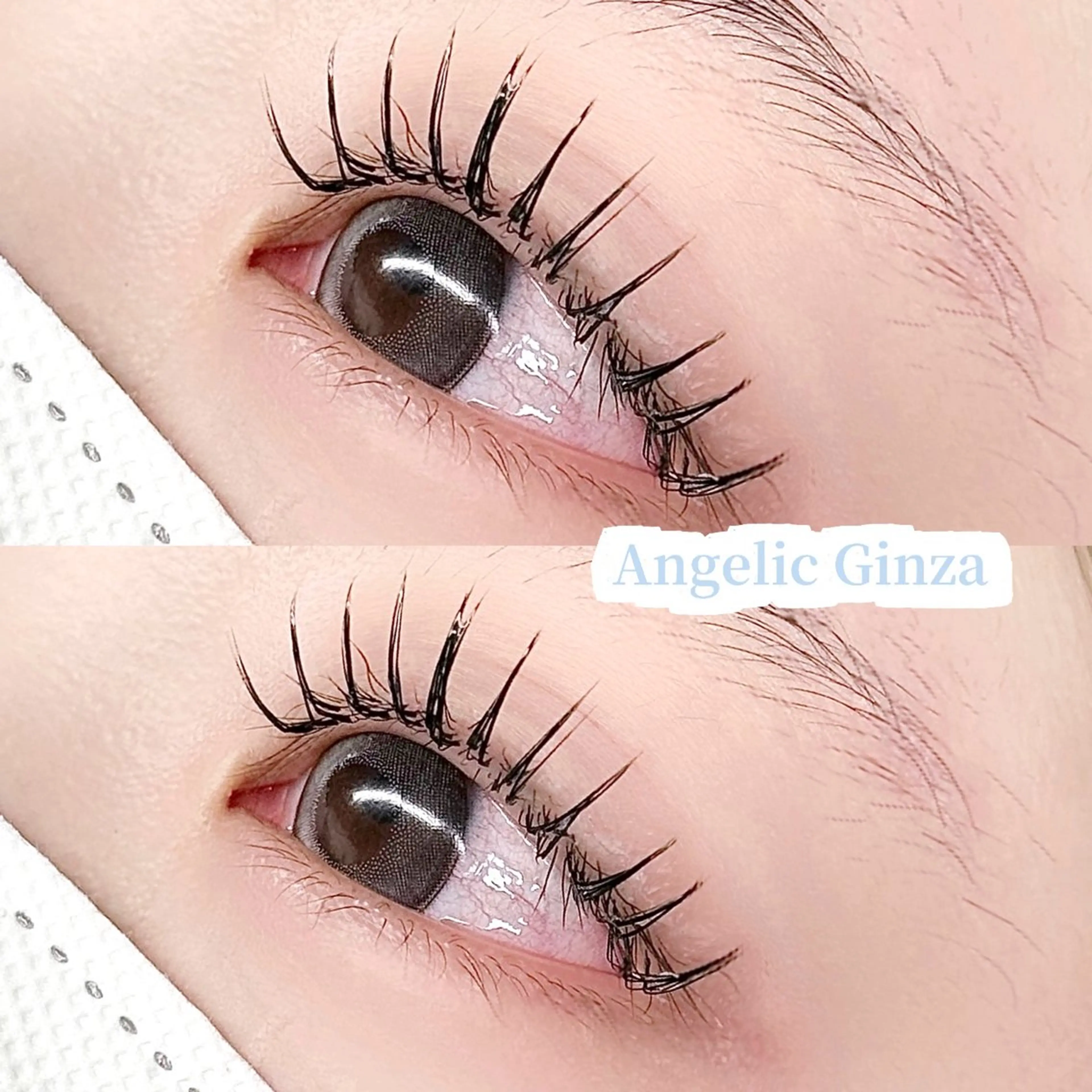 マツエク・マツパ Lカール Angelic nene♥🧸のマツエク・マツパデザイン