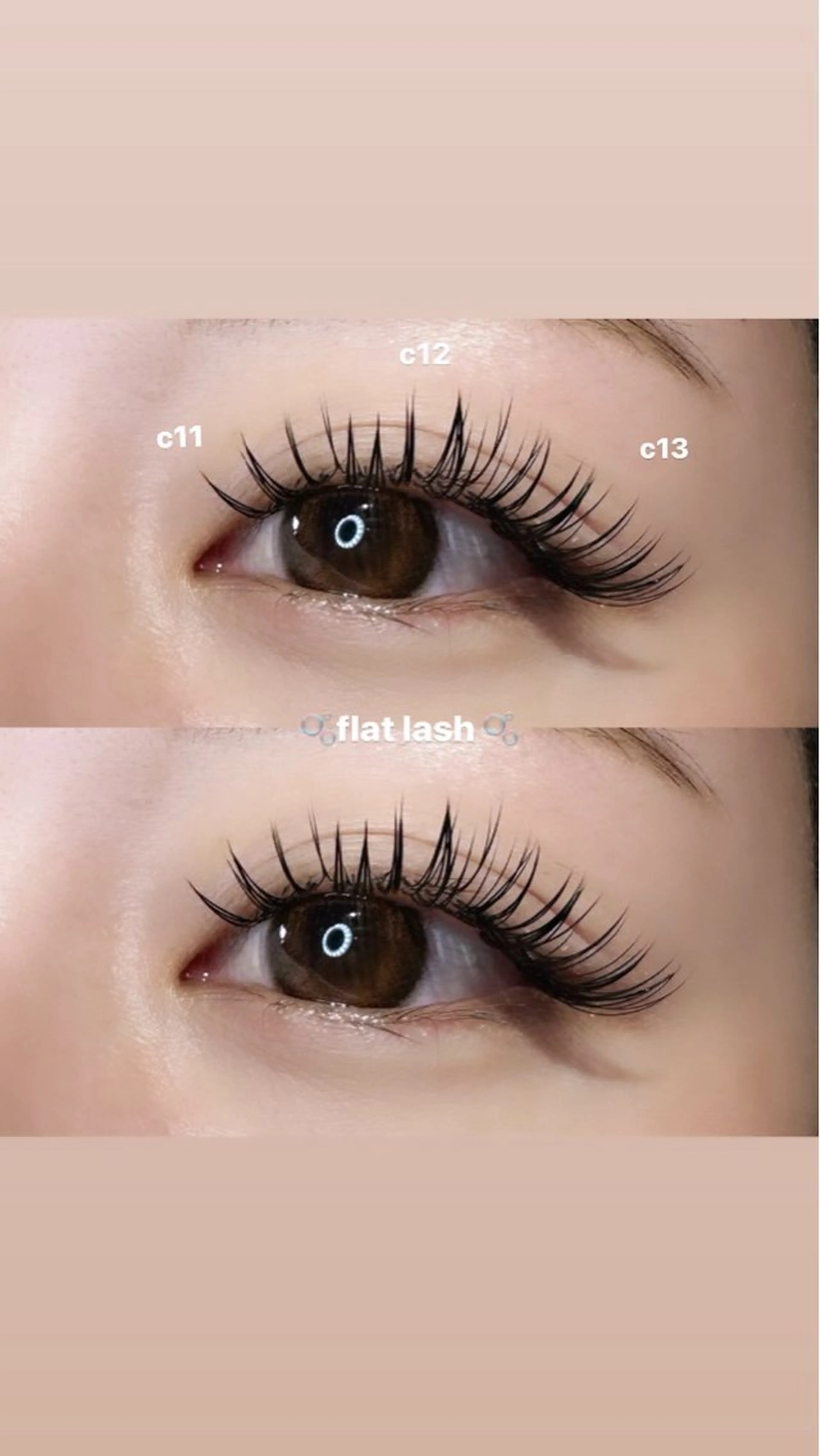 〈オフ込上付け放題⭐︎〉最高級抗菌セーブルの写真